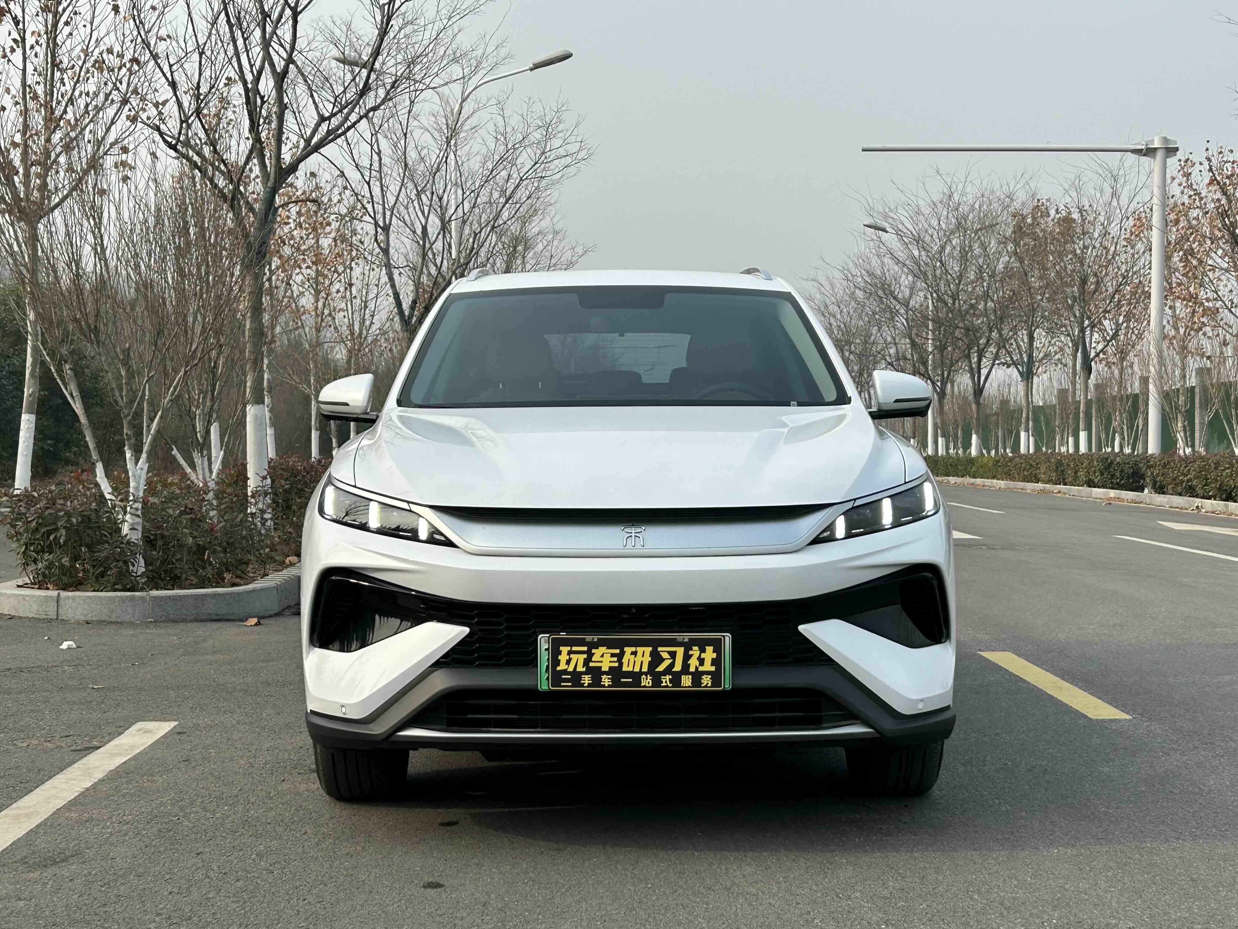 比亚迪 宋Pro新能源 2024 汽车图片 #2