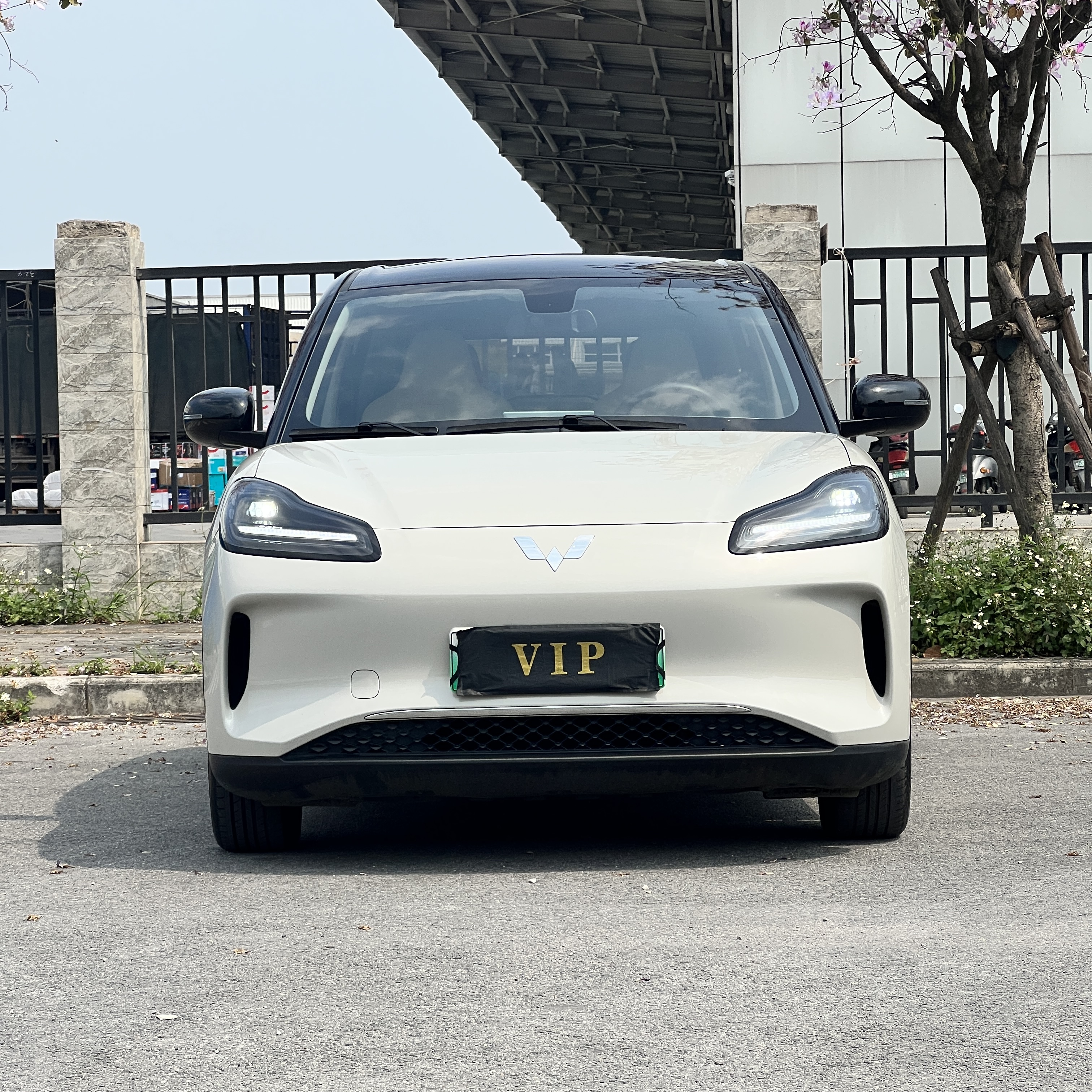 Wuling Binguo PLUS 2024 image de voiture #2