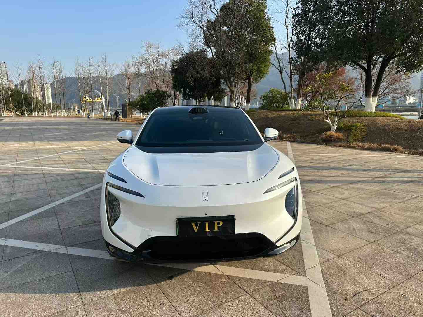 Avatr 07 2025 car image #2