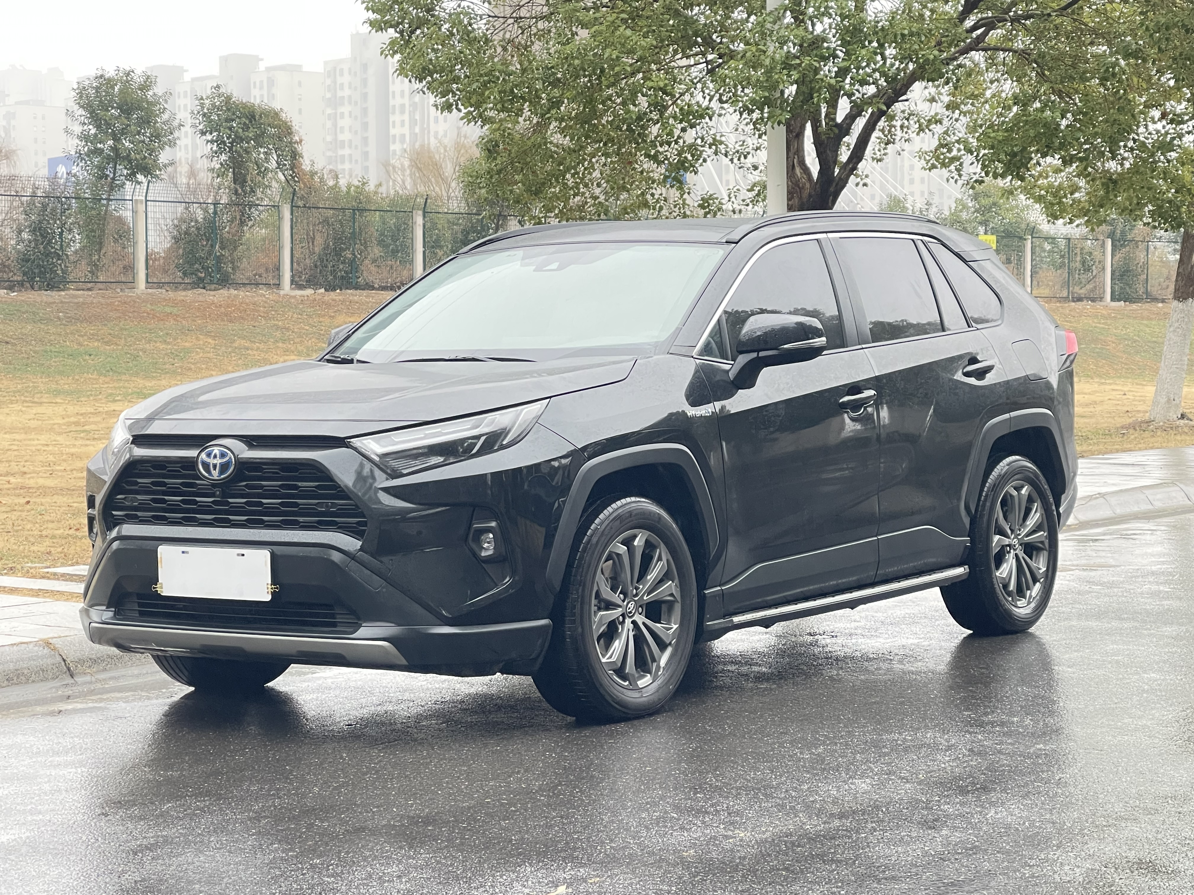 Toyota RAV4 2025 car image #2