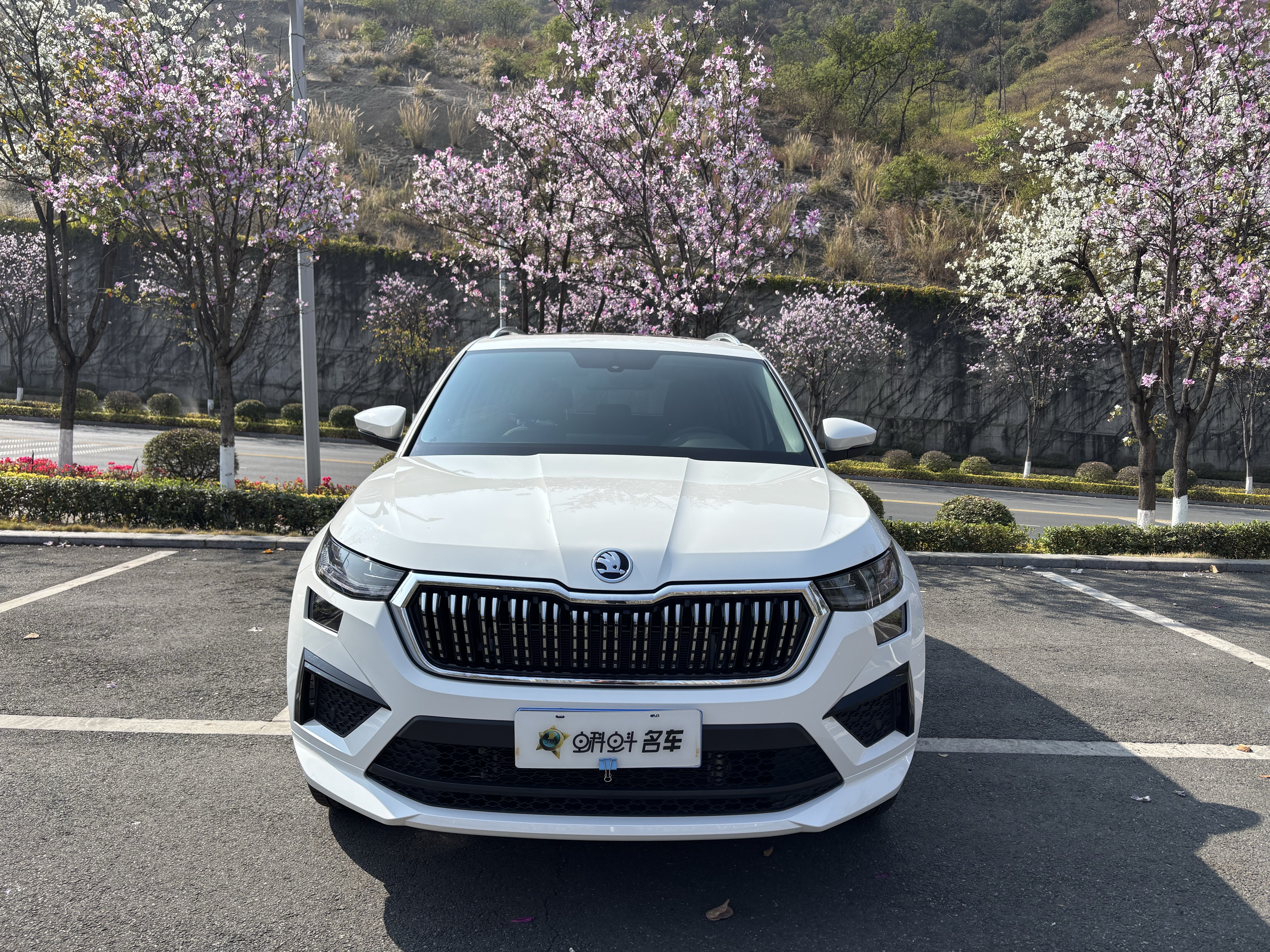 Skoda Kodiaq 2025 صورة سيارة #2