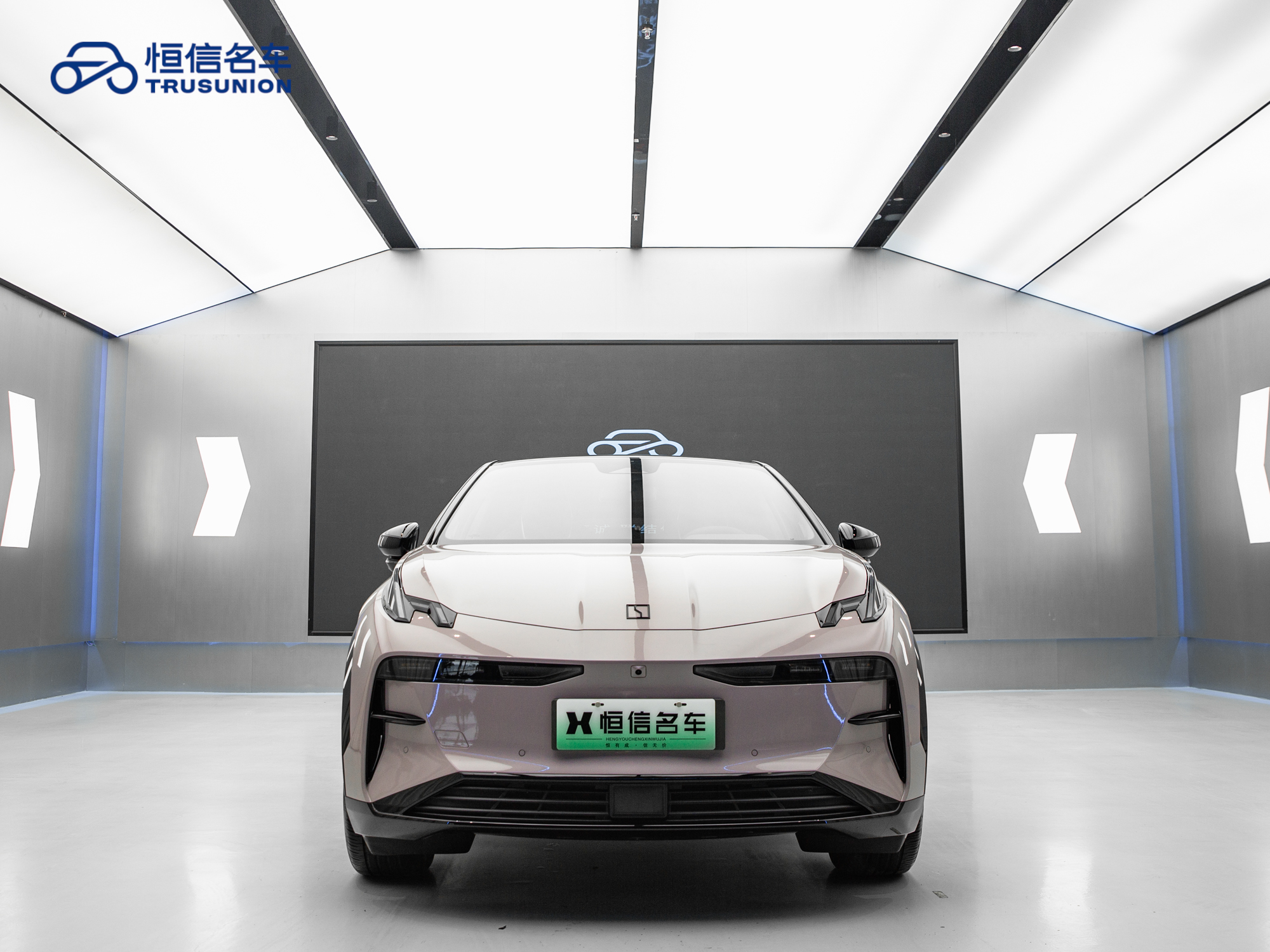 极氪 极氪X 2024 汽车图片 #2