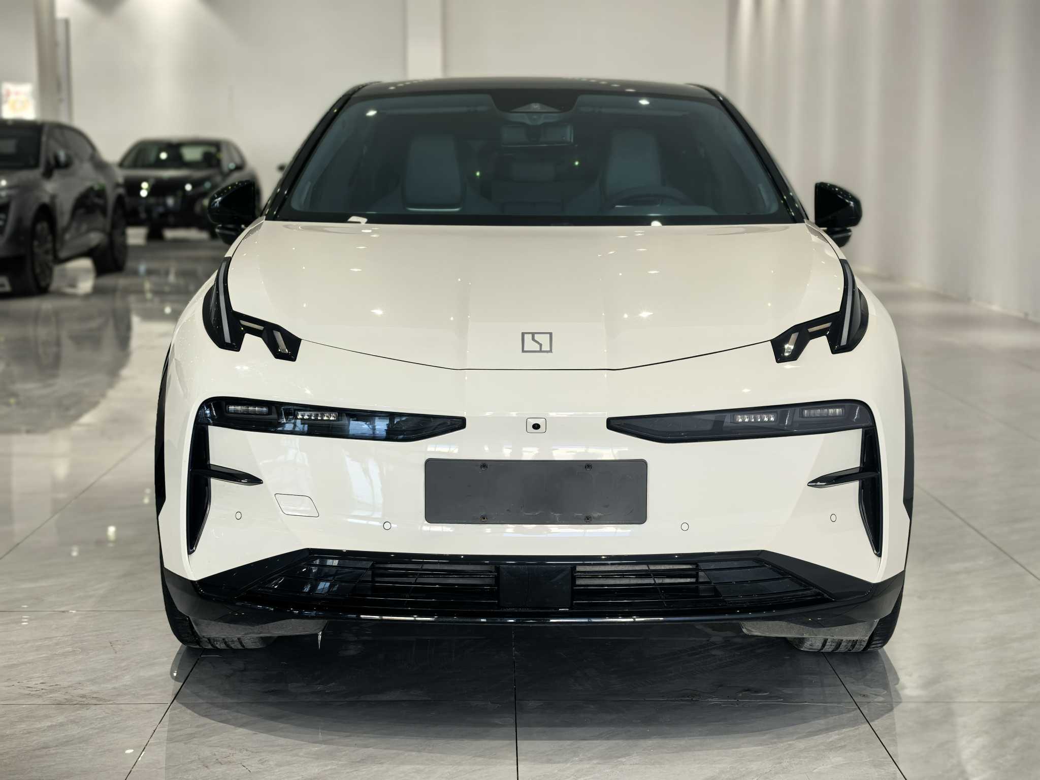 极氪 极氪X 2024 汽车图片 #2