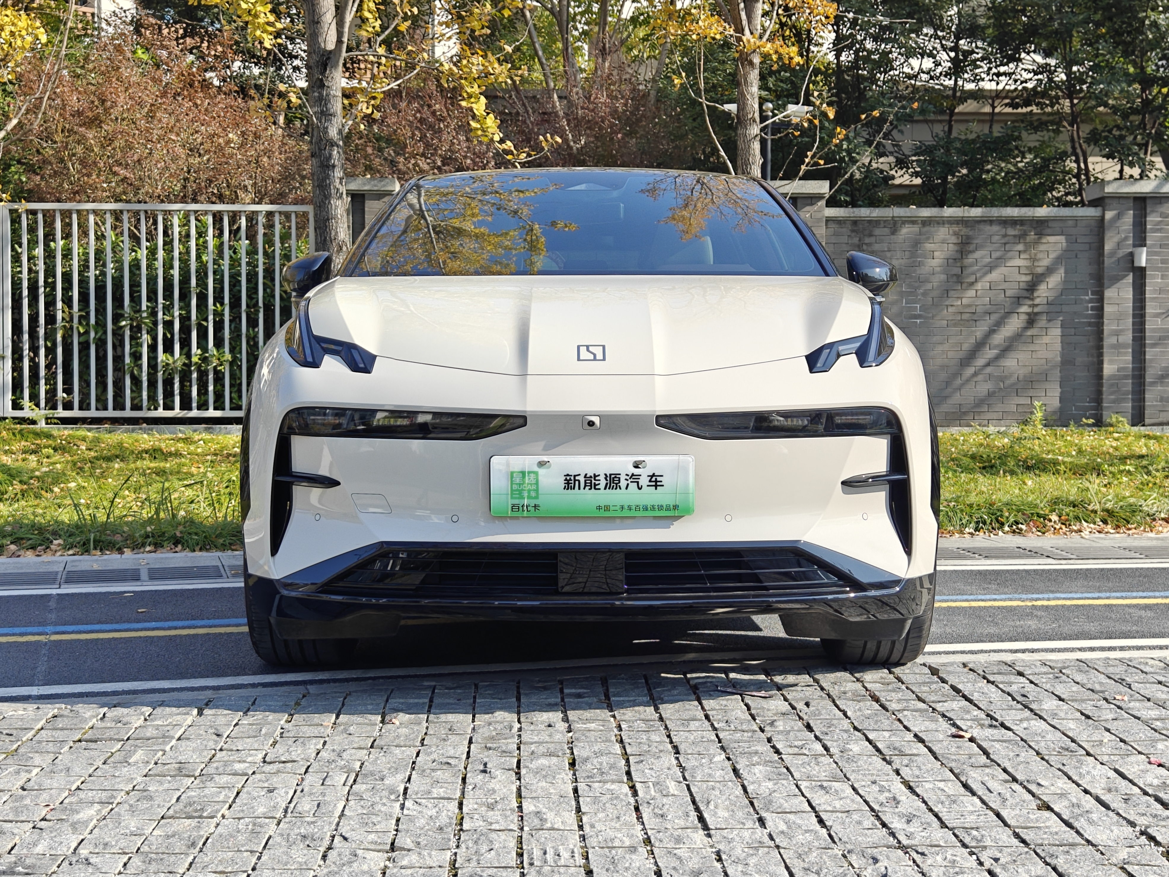 极氪 极氪X 2025 汽车图片 #2