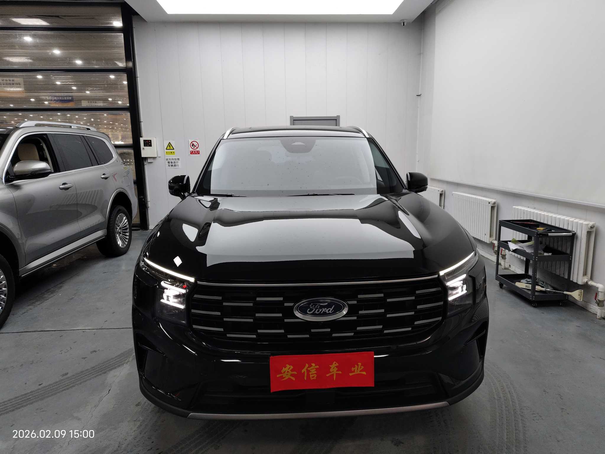 Ford Edge 2025 immagine di auto #2