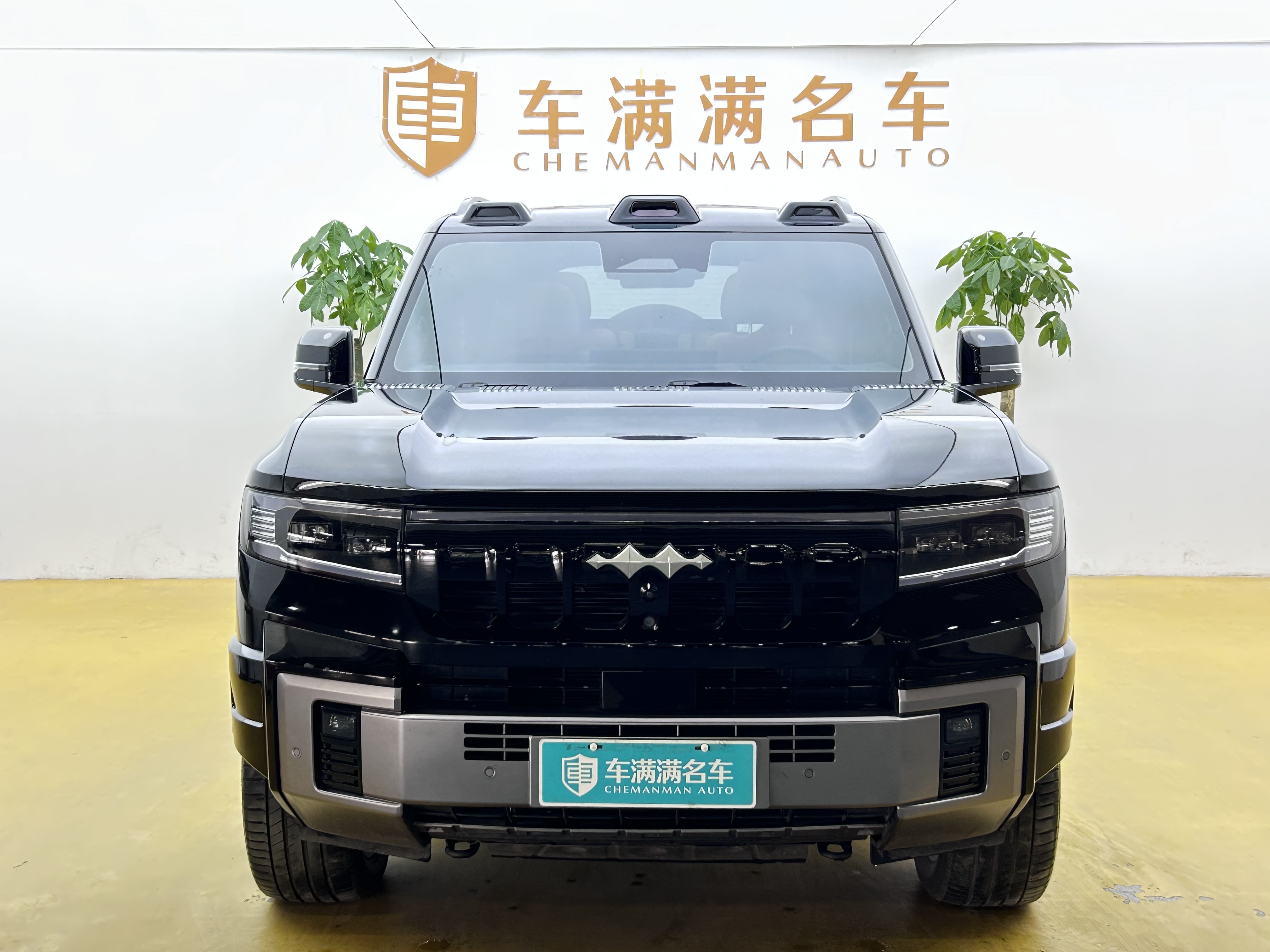 FangChengBao Leopard 8 2024 immagine di auto #2