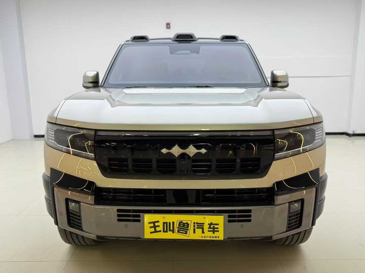FangChengBao Leopard 8 2024 immagine di auto #2