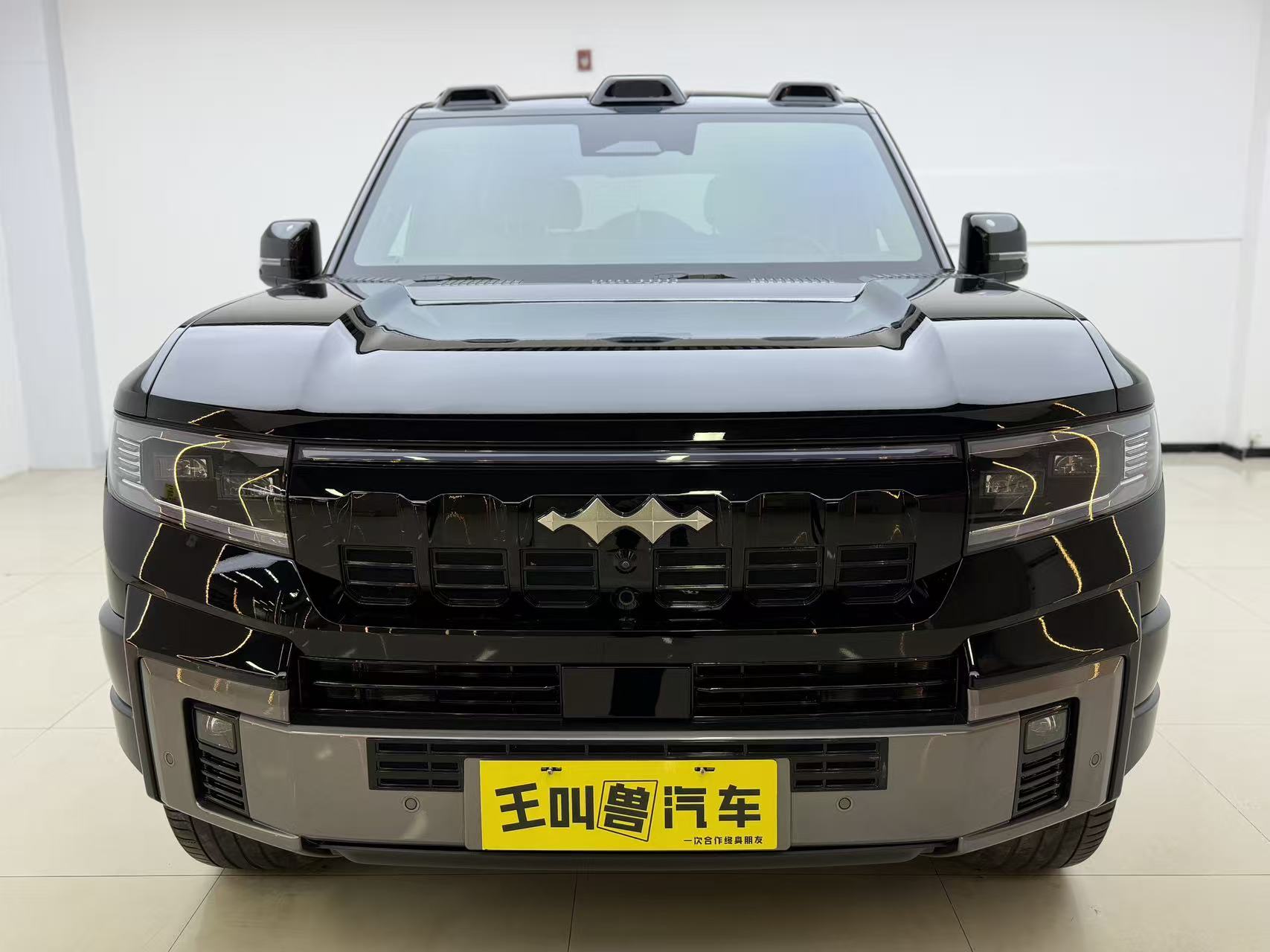 FangChengBao Leopard 8 2025 immagine di auto #2