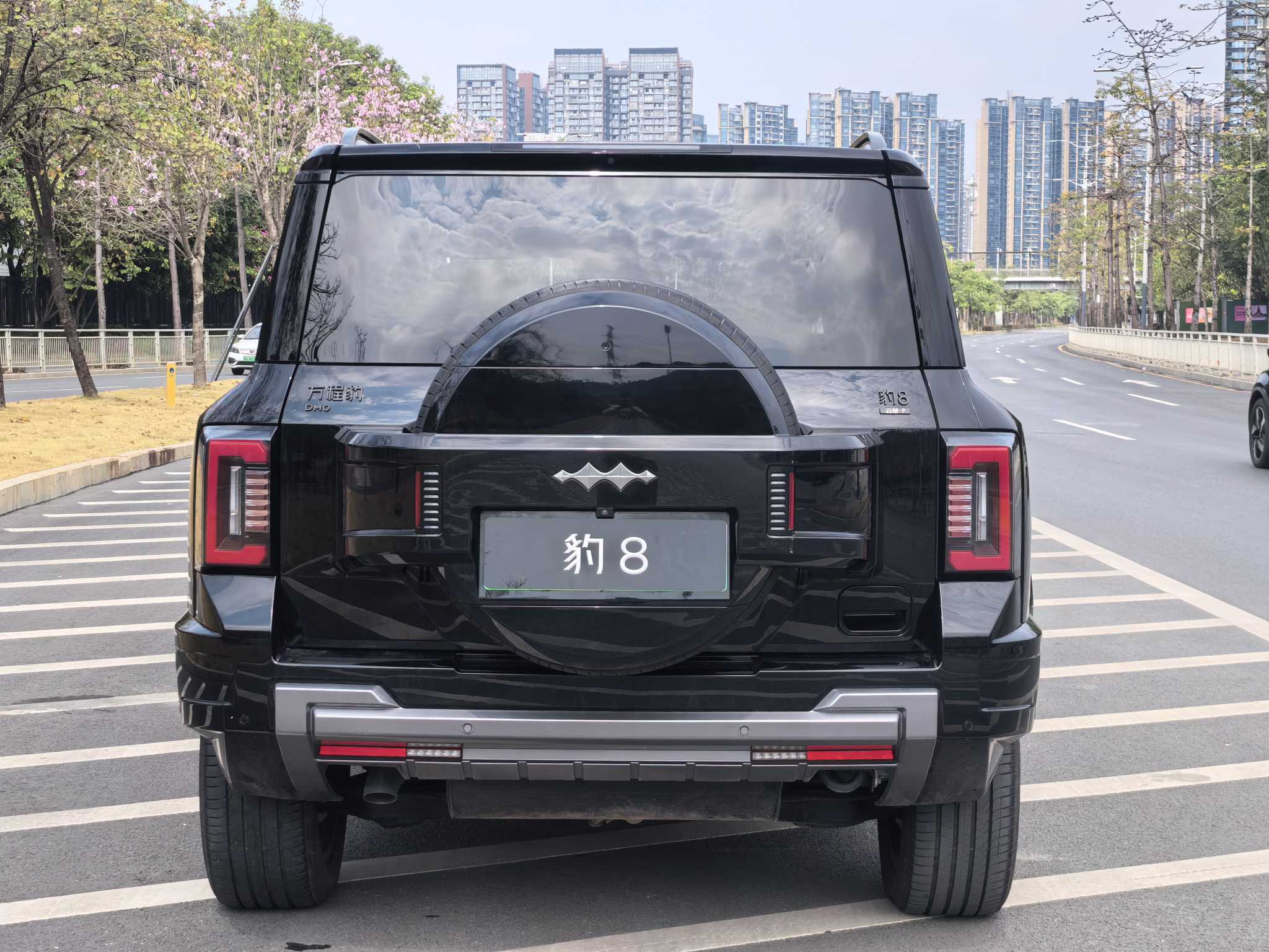 FangChengBao Leopard 8 2024 #2 FangChengBao Leopard 8 2024 immagine di auto #2