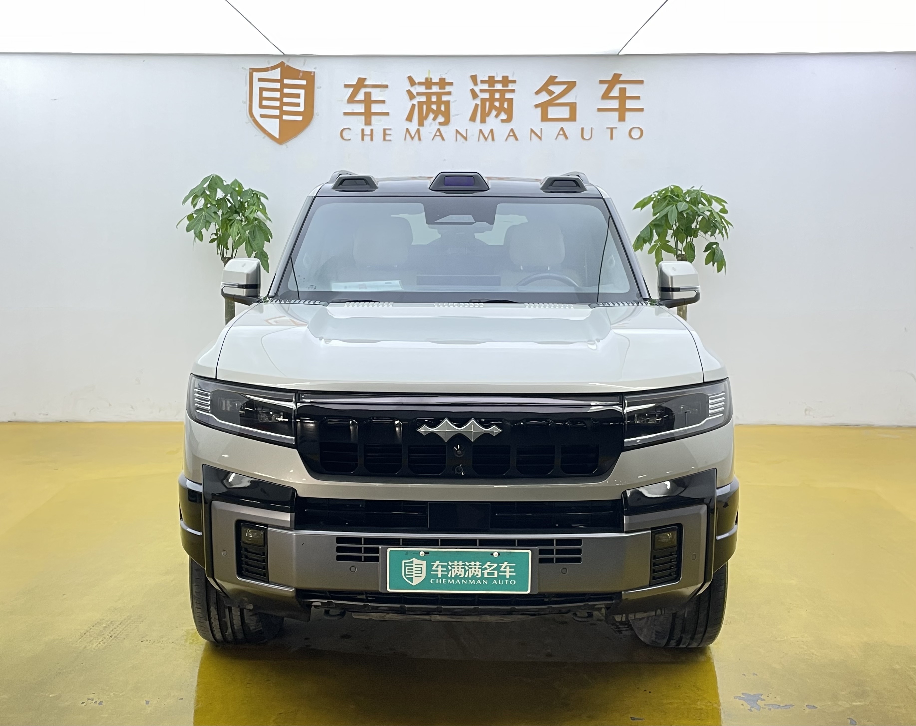 方程豹 豹8 2024 汽车图片 #2