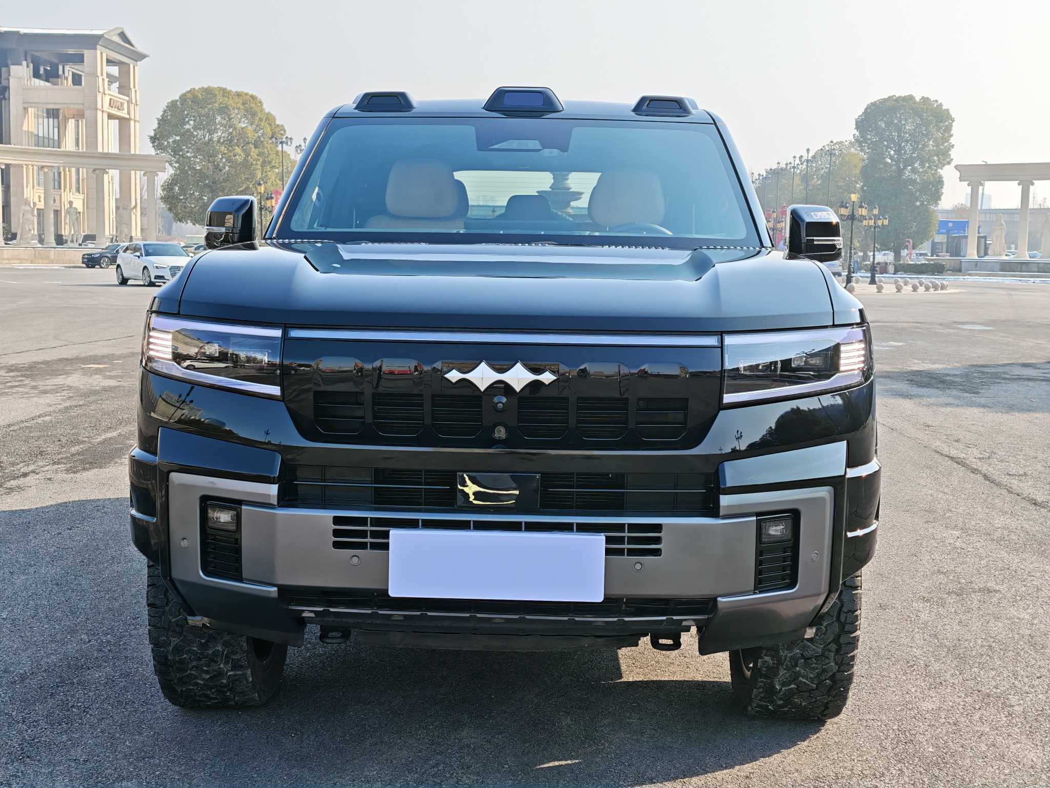 FangChengBao Leopard 8 2024 car image #2