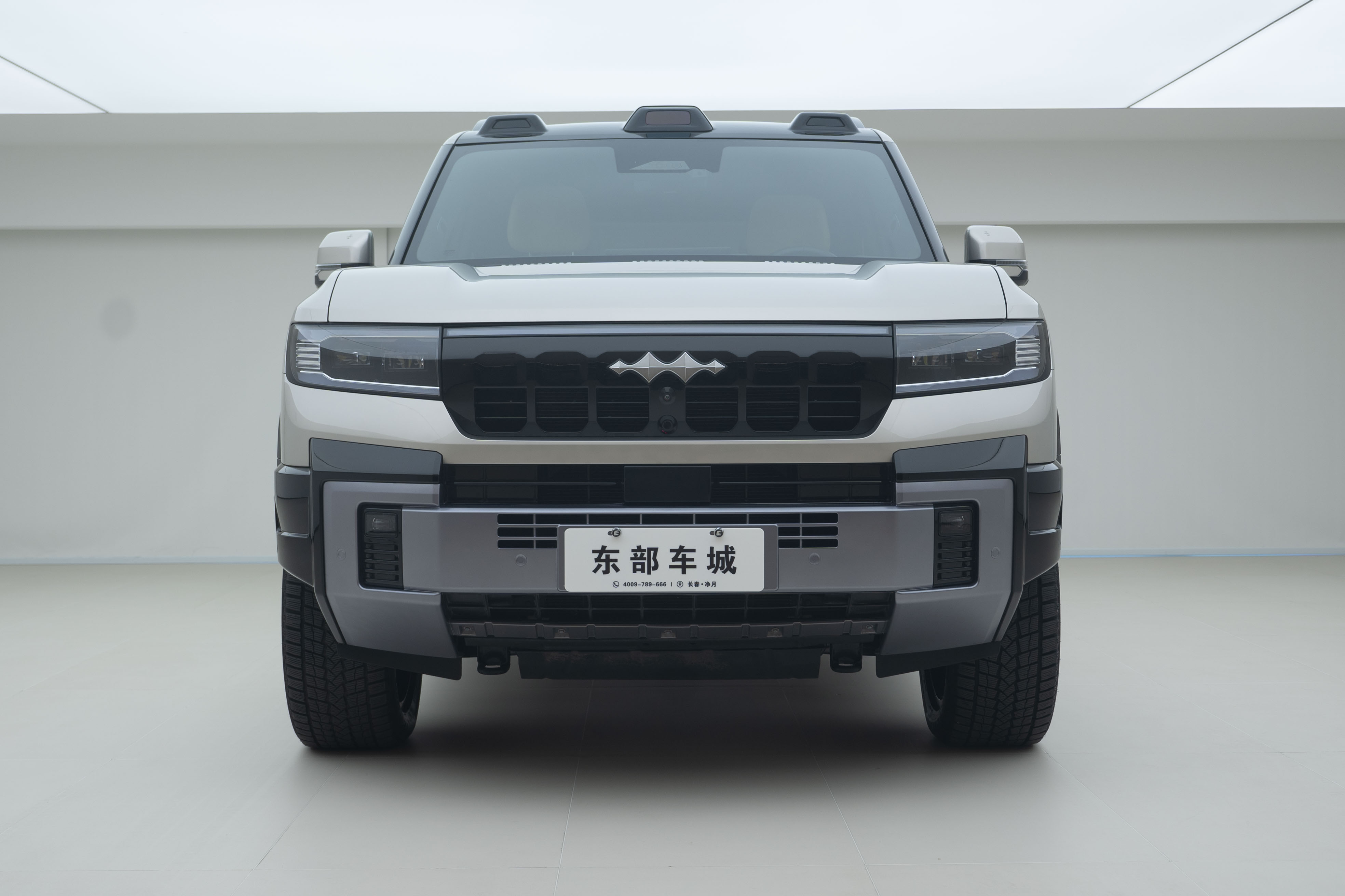 FangChengBao Leopard 8 2024 immagine di auto #2