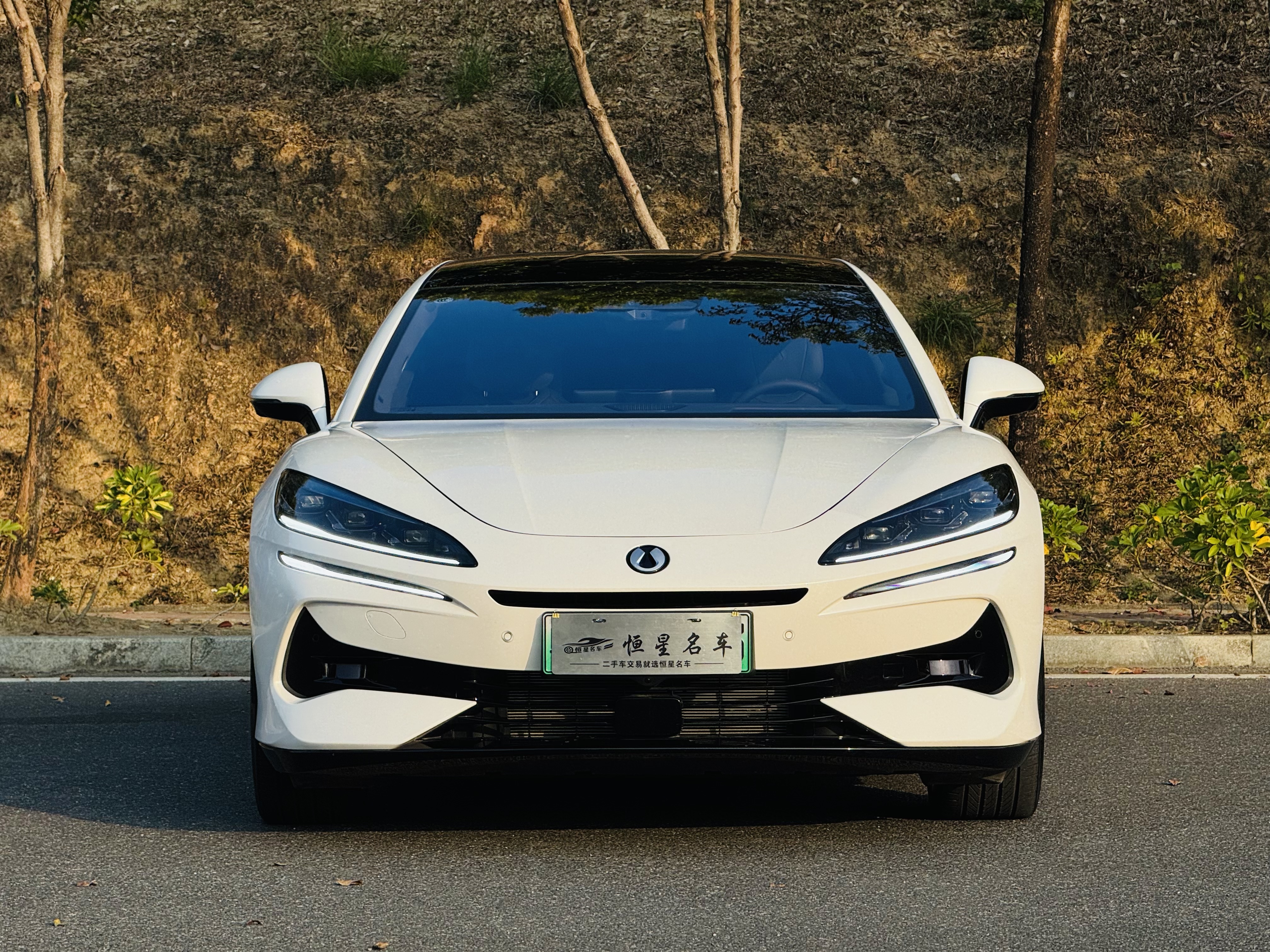 Denza Z9 2025 car image #2