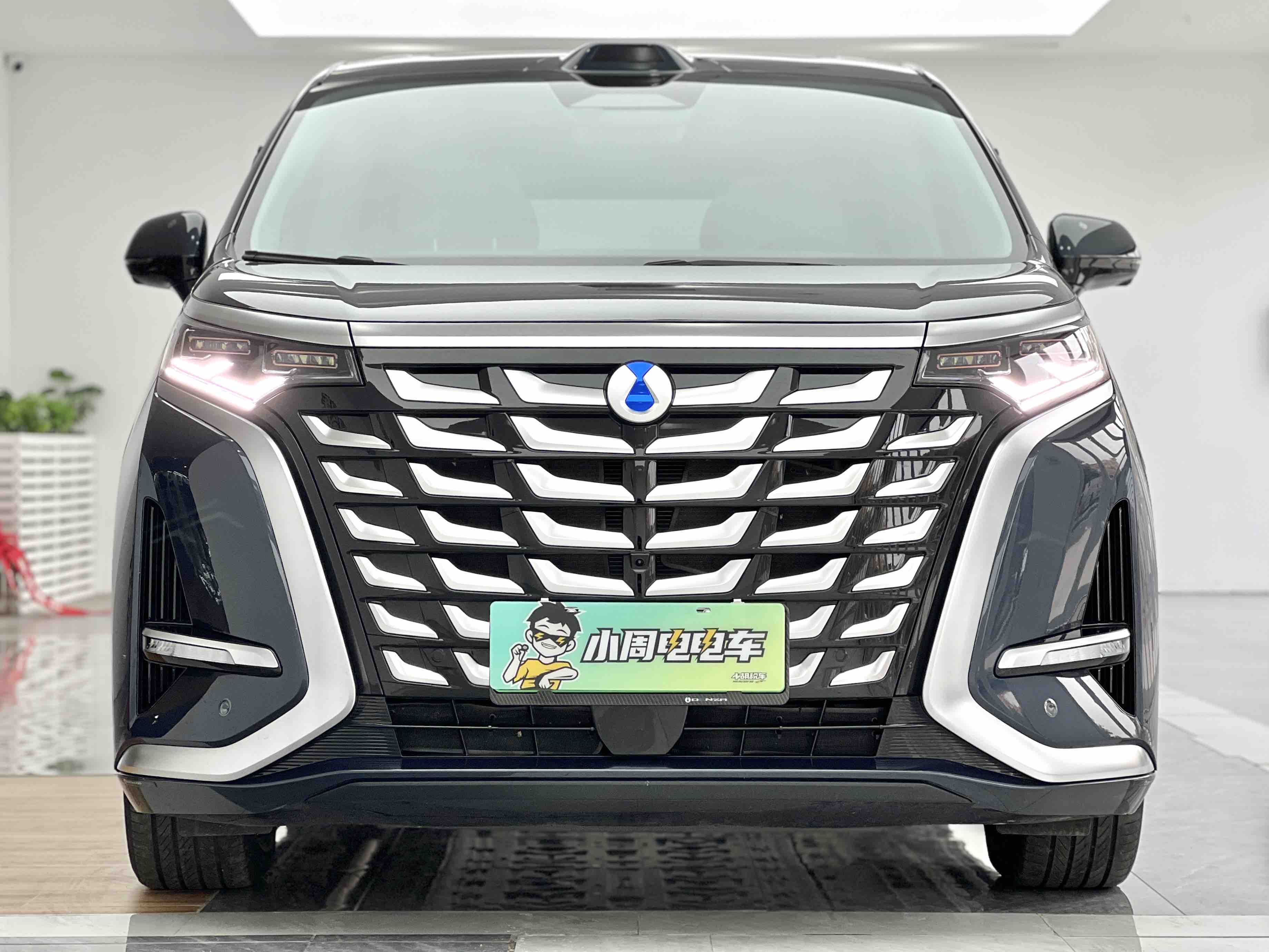 Denza D9 2025 car image #2