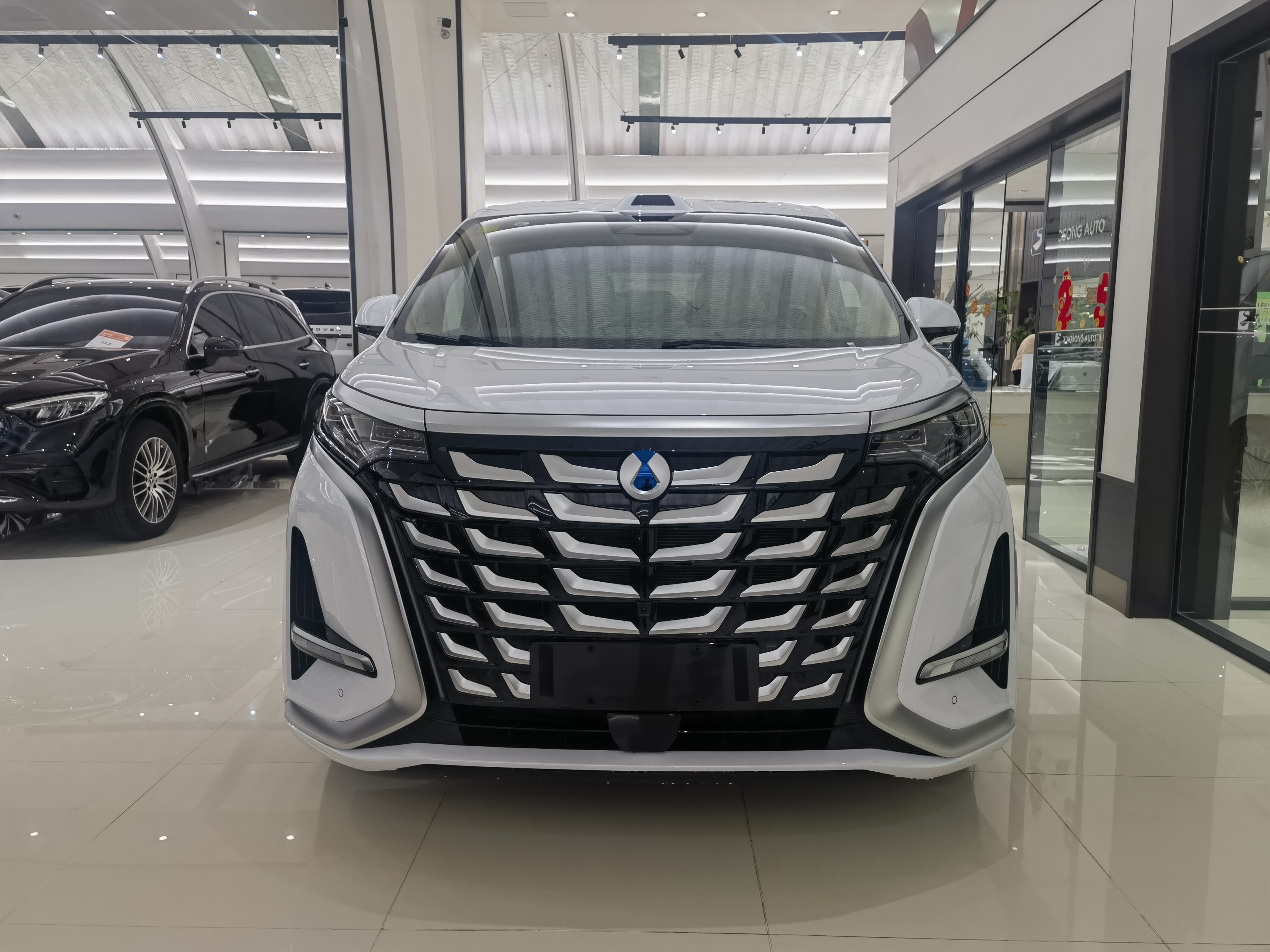 Denza D9 2025 imagen de coche #2