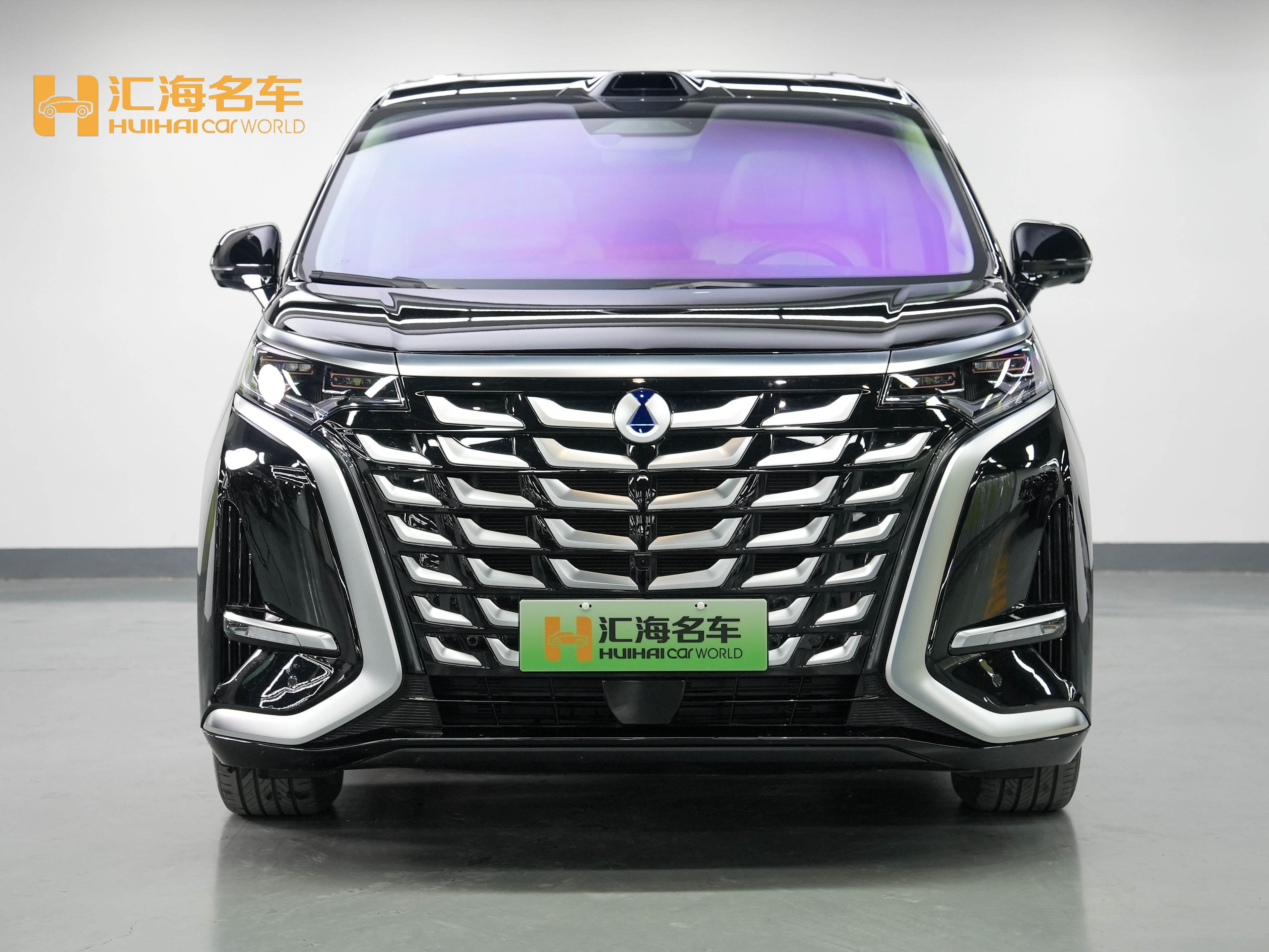 Denza D9 2025 immagine di auto #2