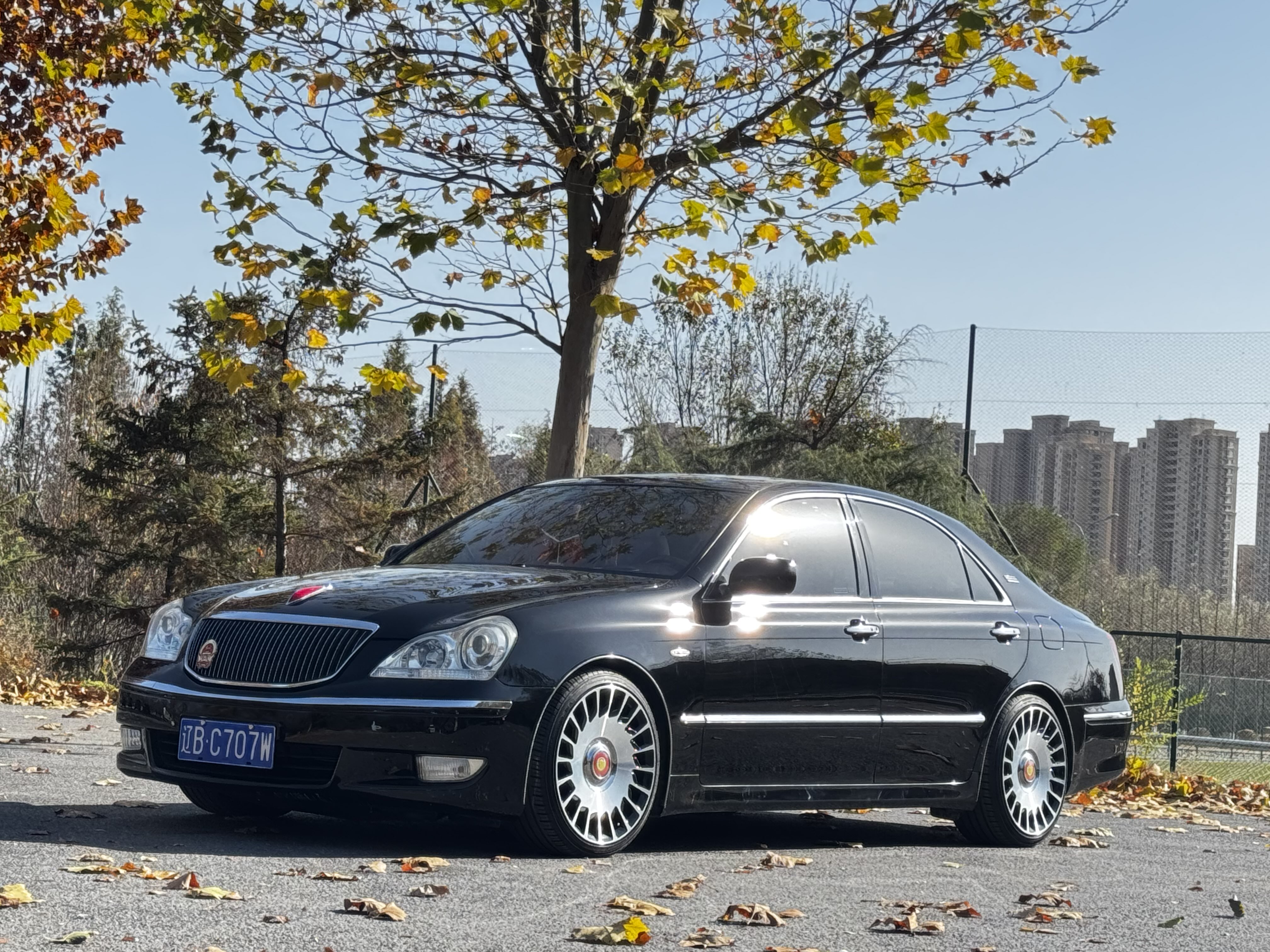 HongQi ShengShi 2009 car image #2