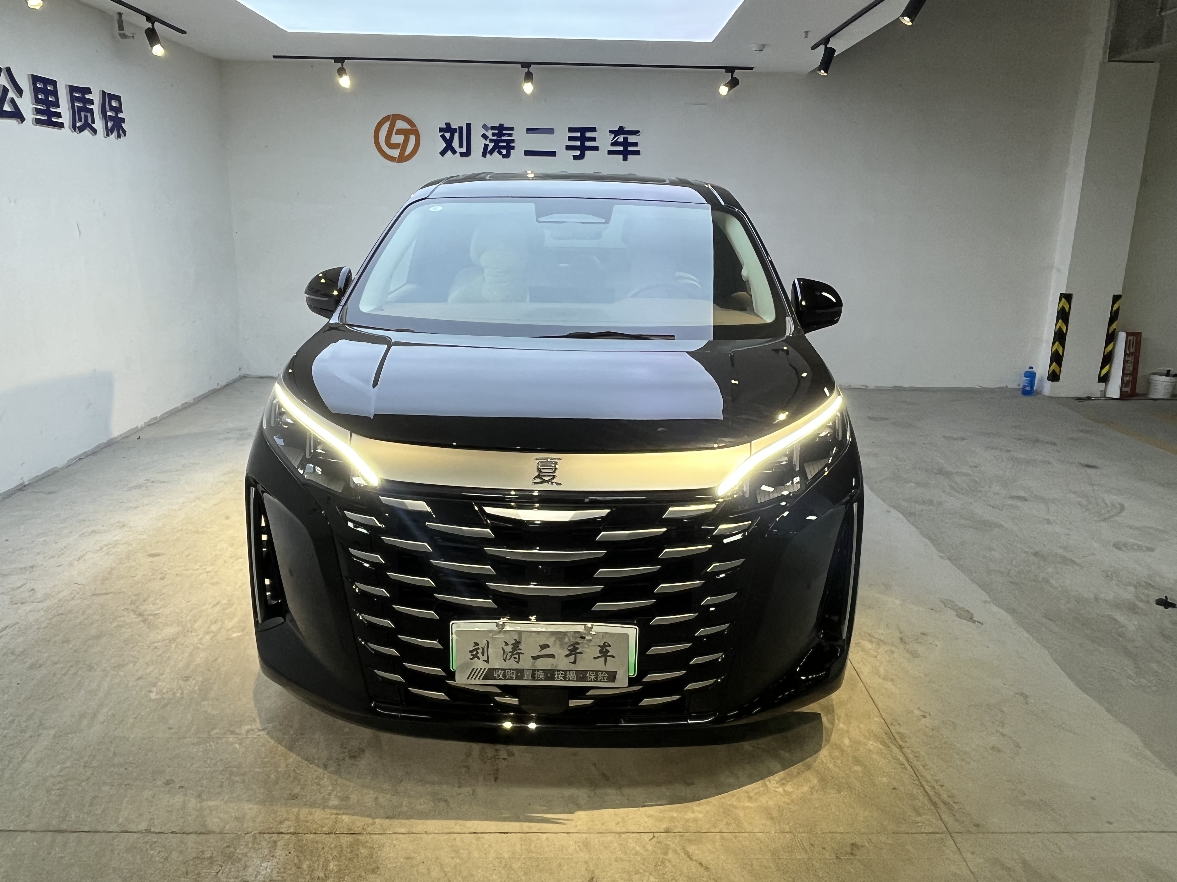 BYD Xia 2025 imagen de coche #2
