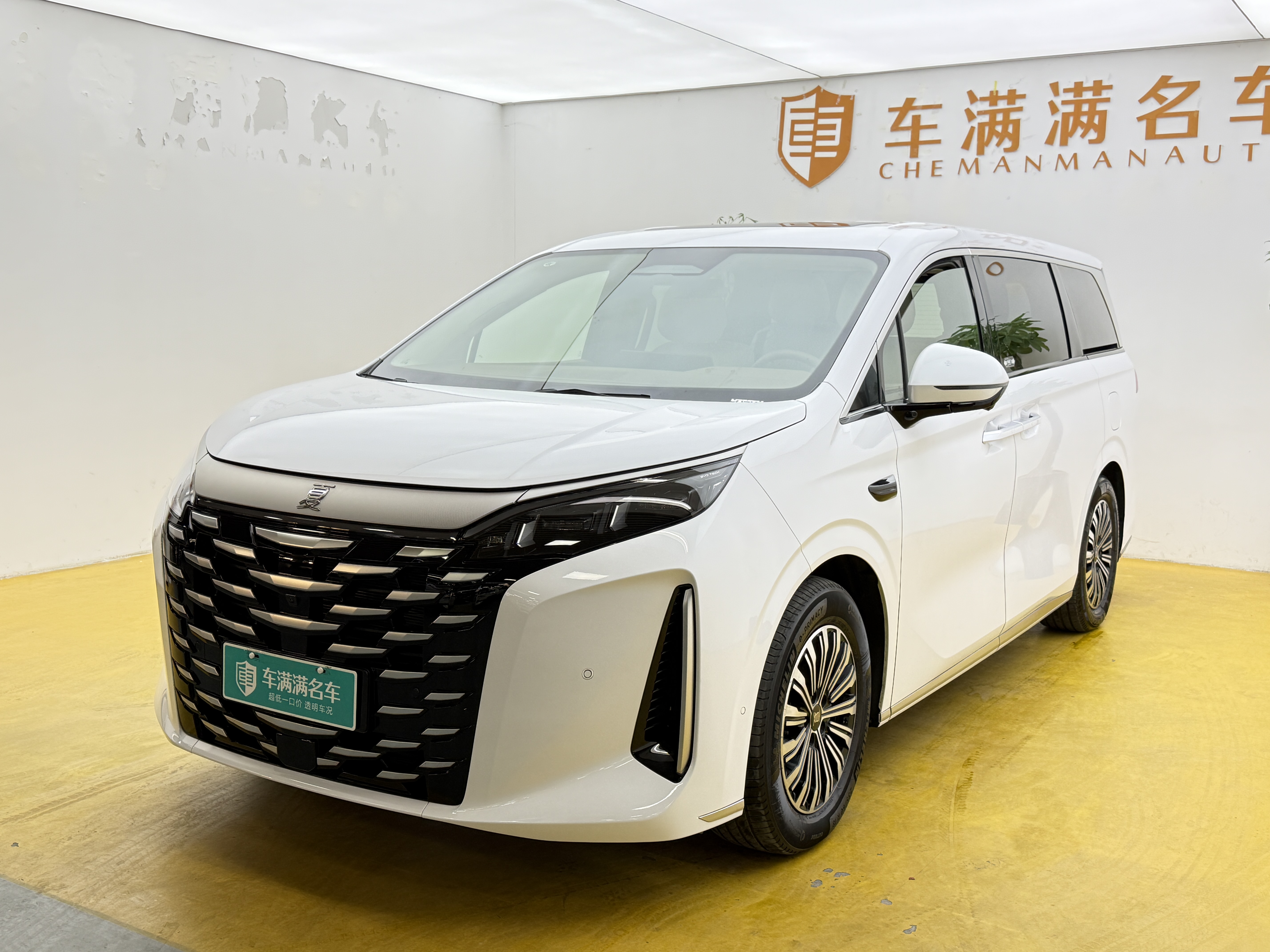 BYD Xia 2025 immagine di auto #2