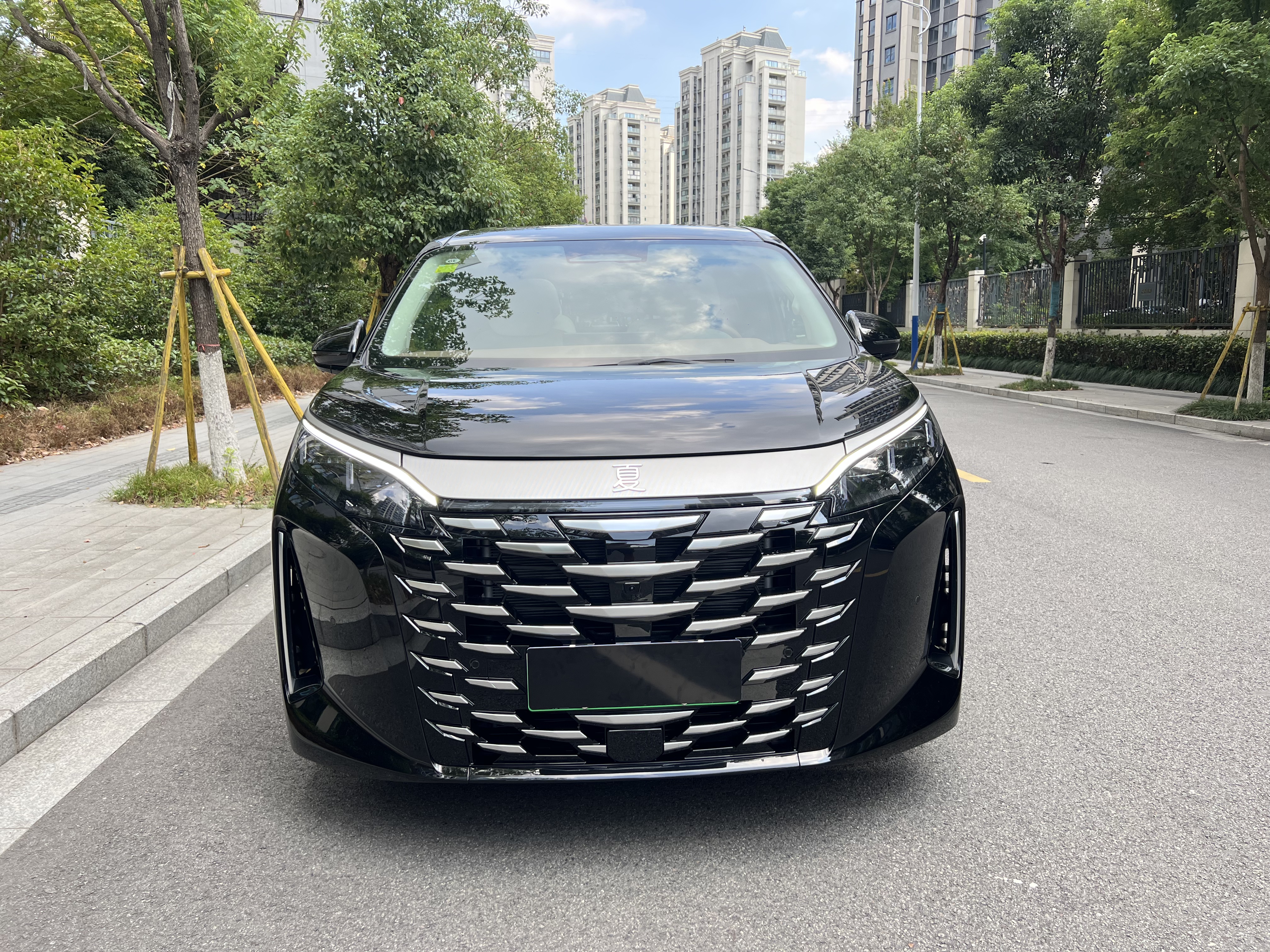 BYD Xia 2025 immagine di auto #2