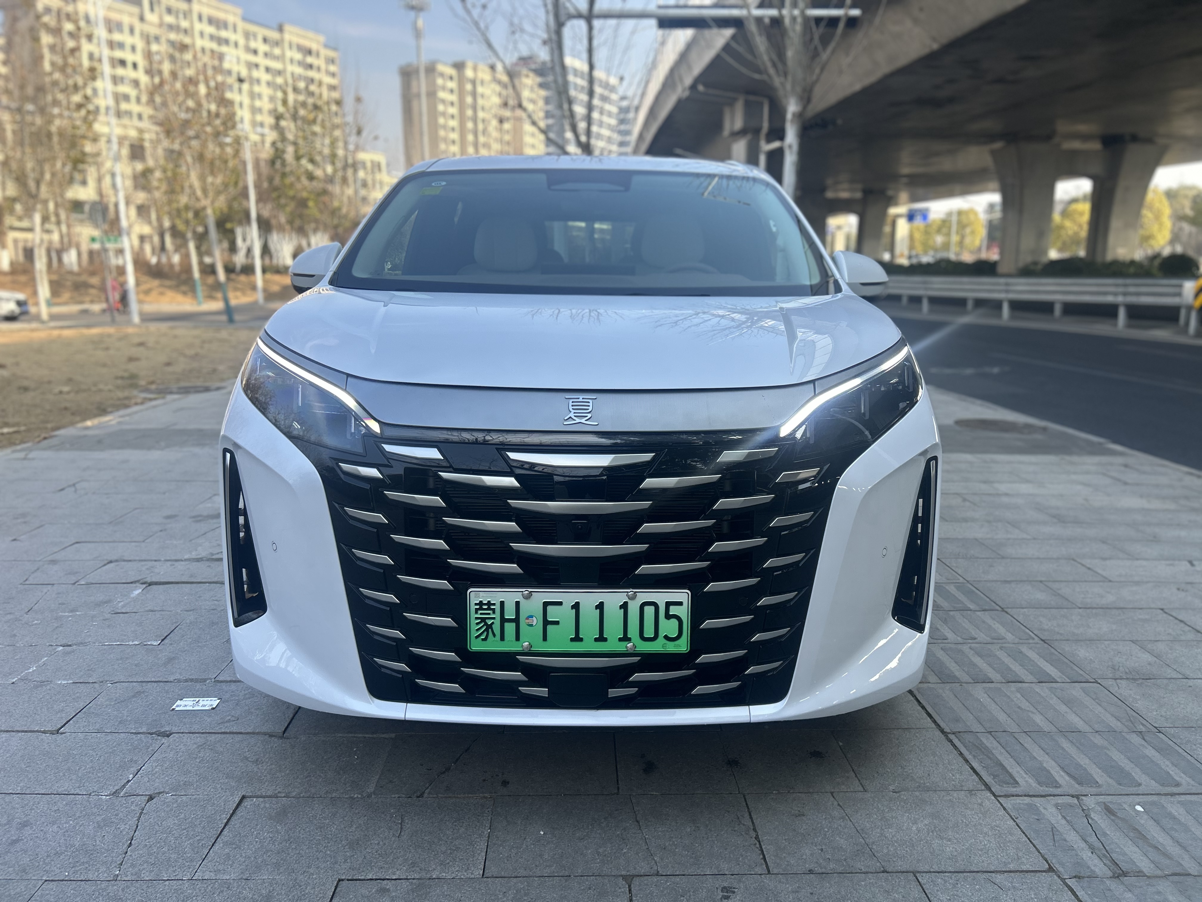 BYD Xia 2025 imagen de coche #2
