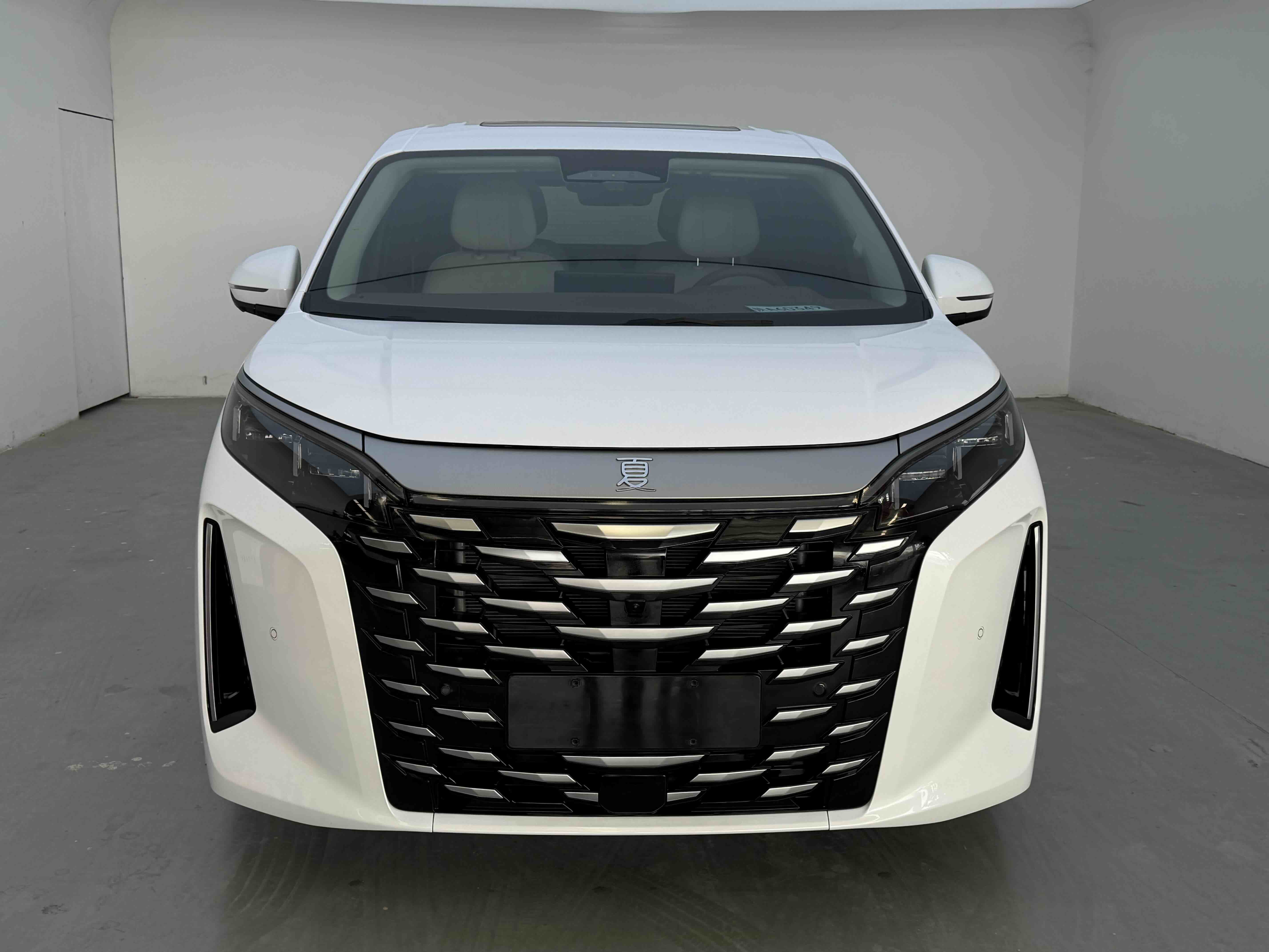 BYD Xia 2025 imagen de coche #2