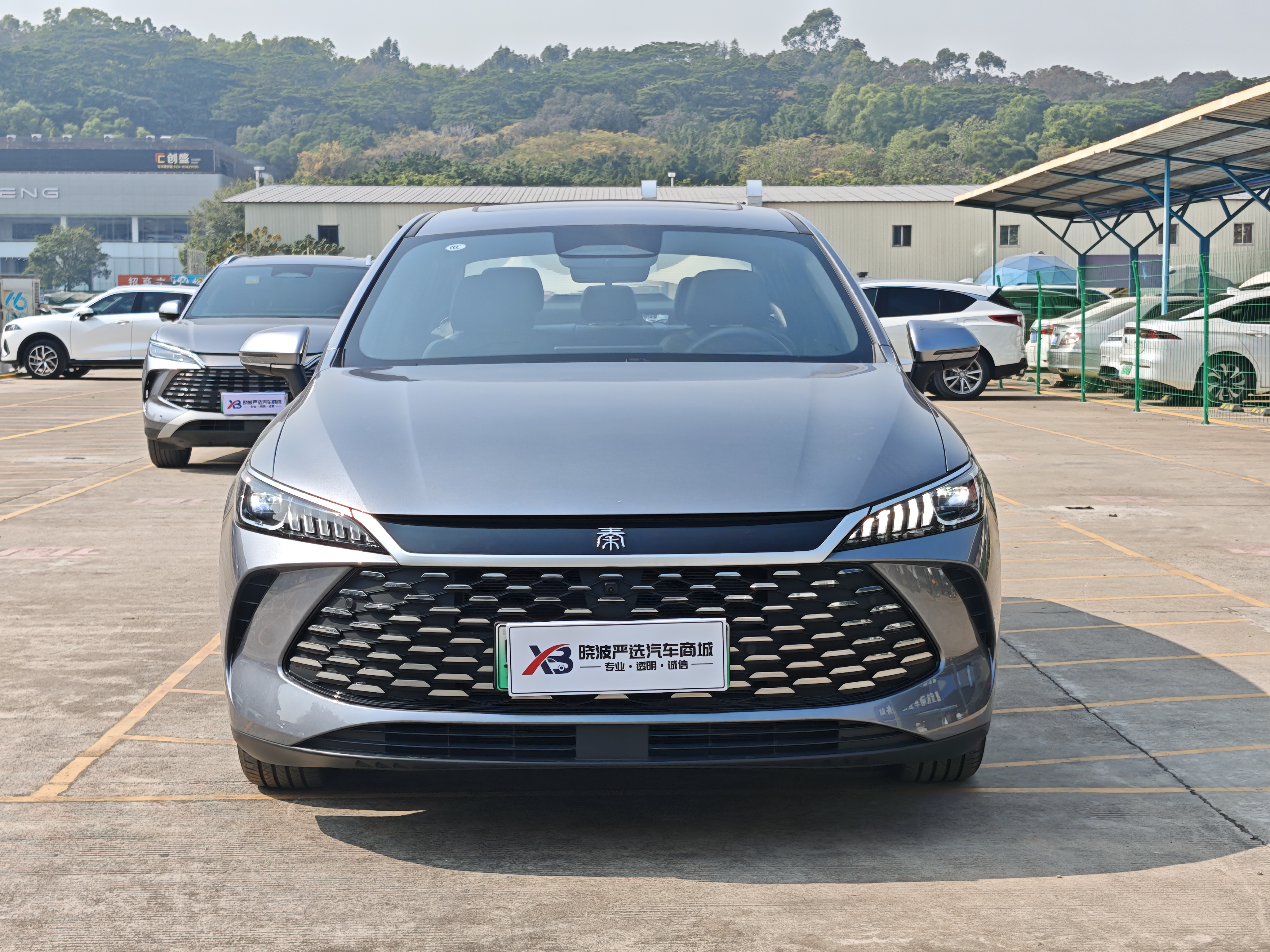 BYD Qin Plus 2025 immagine di auto #2