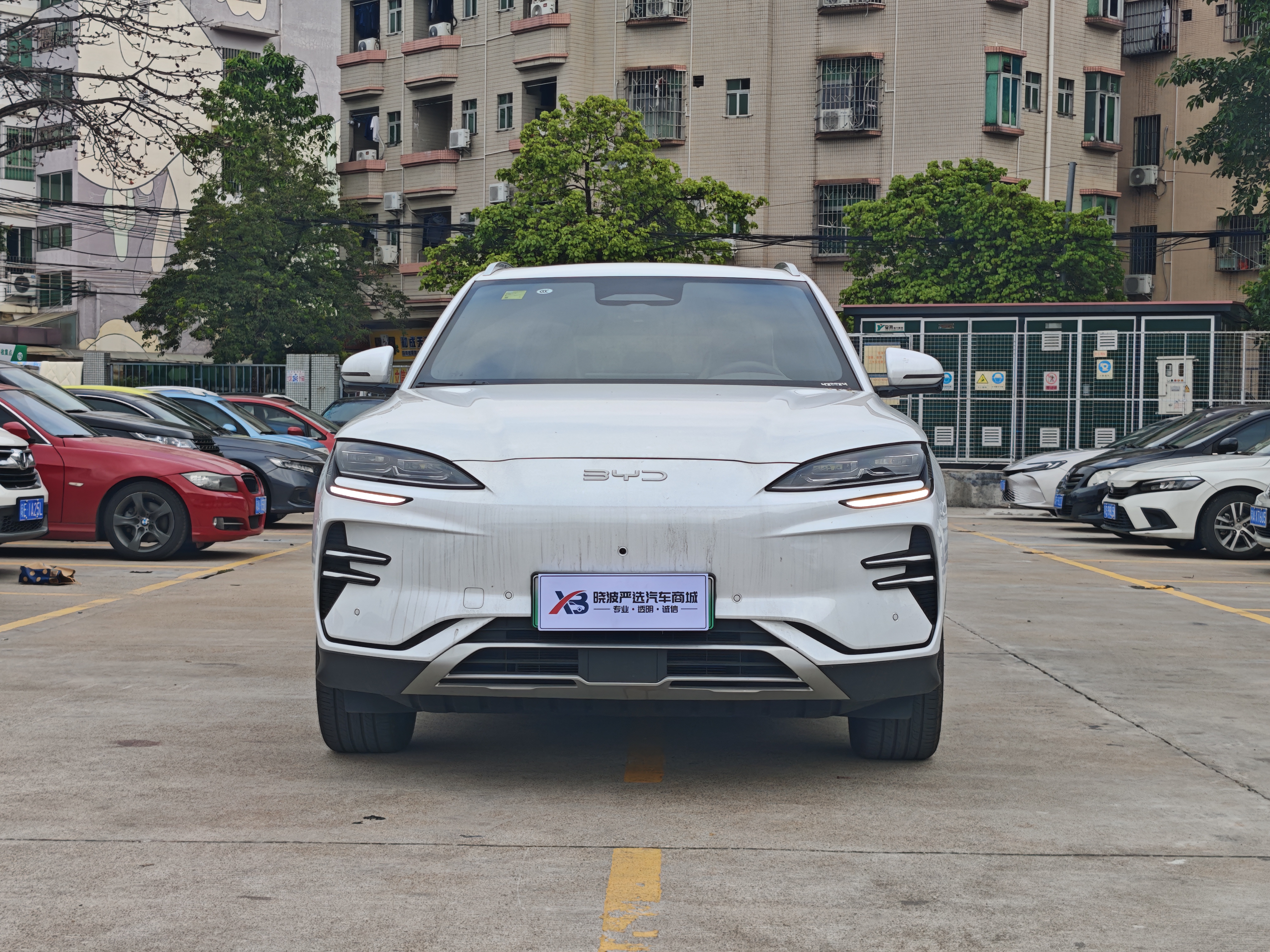 BYD Song Plus New Energy 2025 car image #2