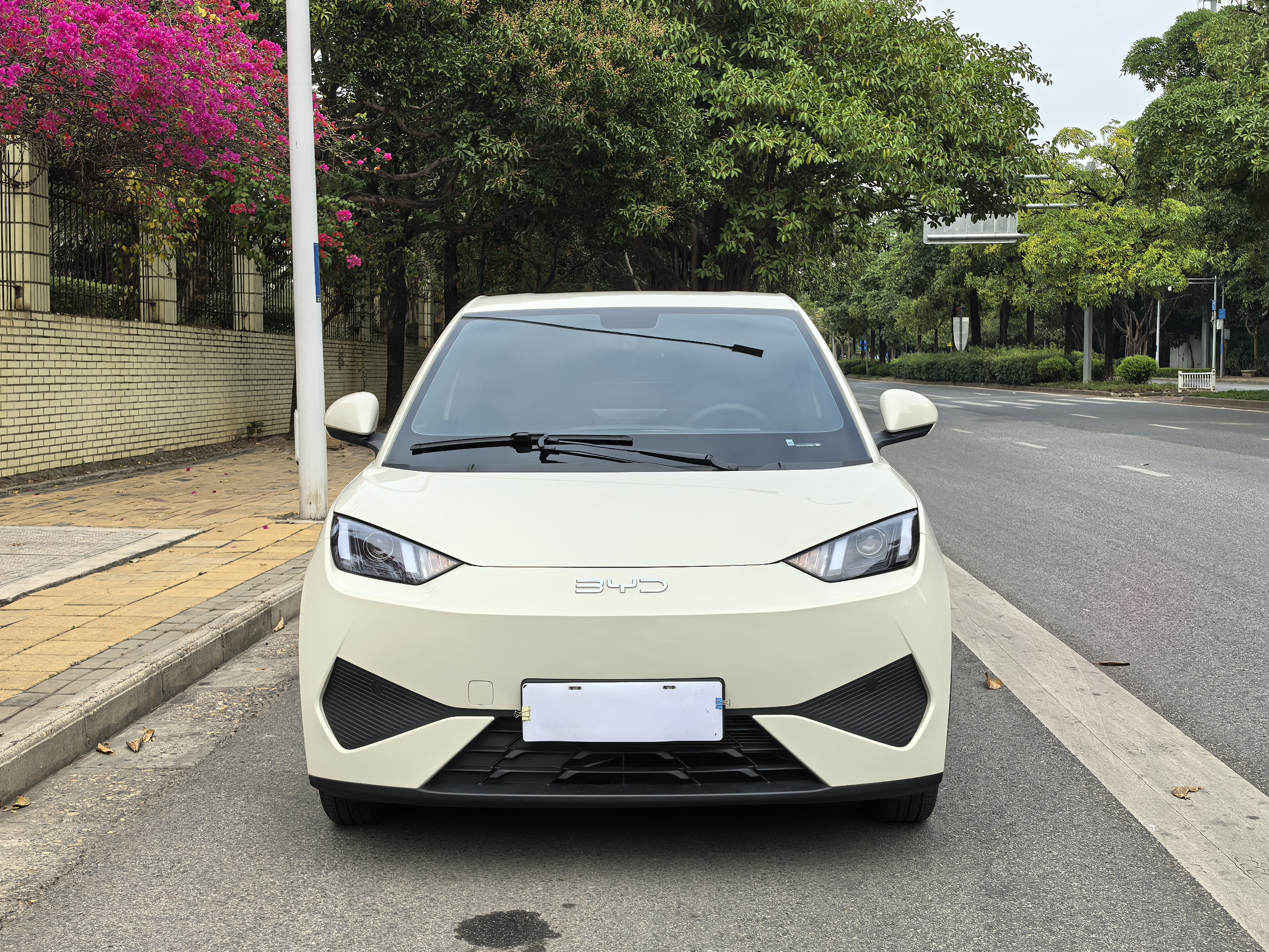 BYD Seagull 2025 car image #2