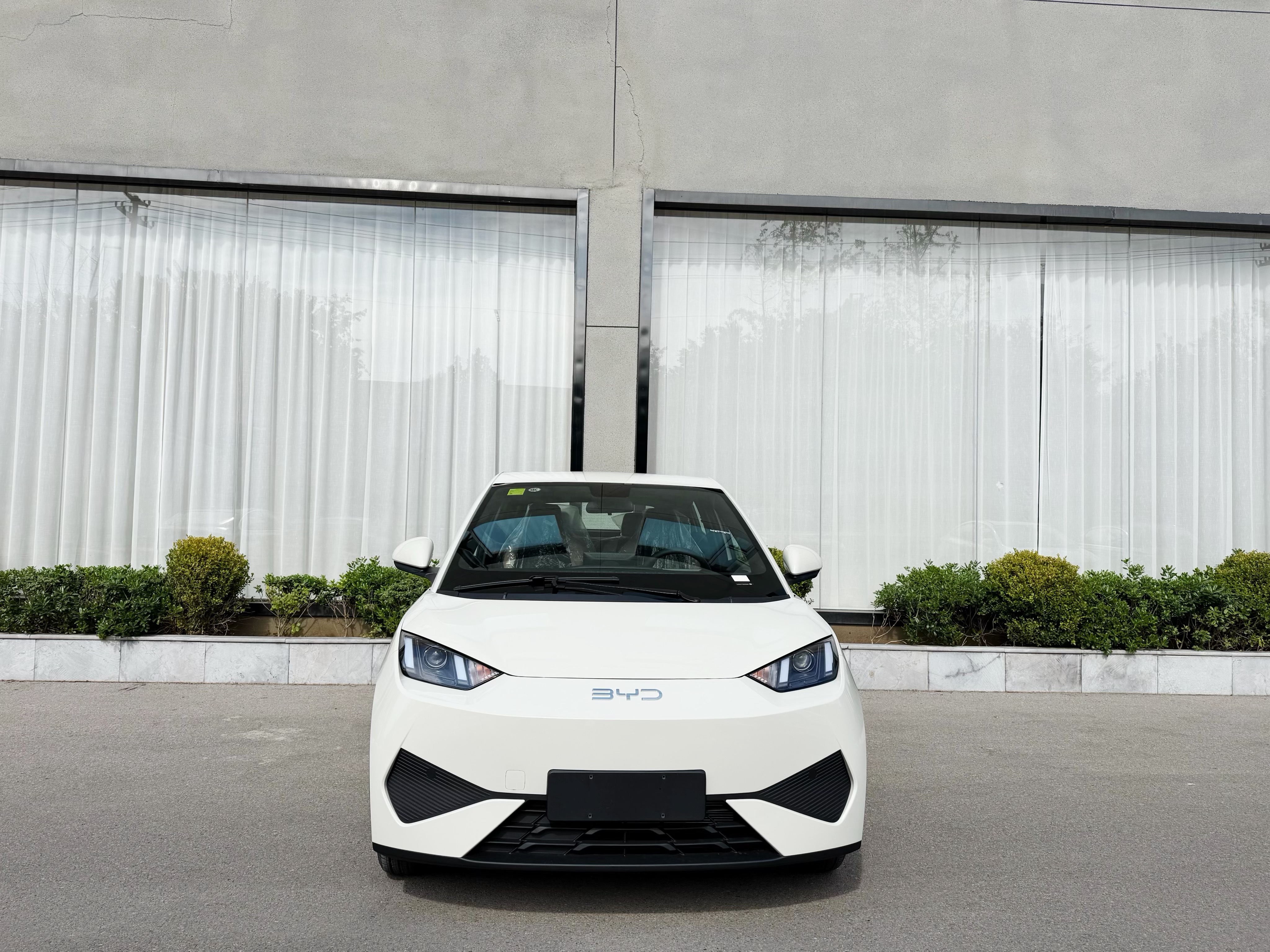 BYD Seagull 2025 car image #2