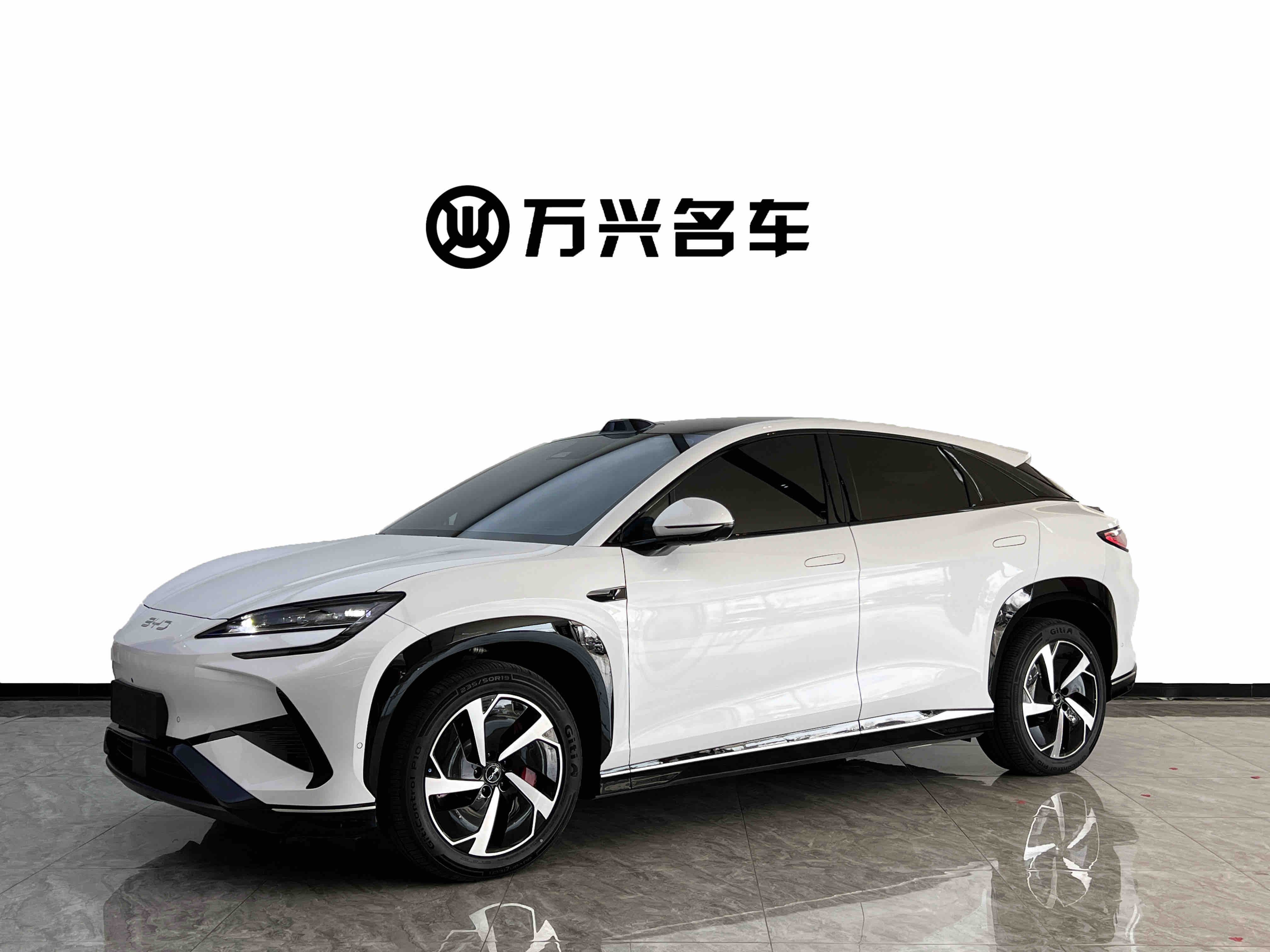 BYD Sea Lion 07 EV 2025 car image #2