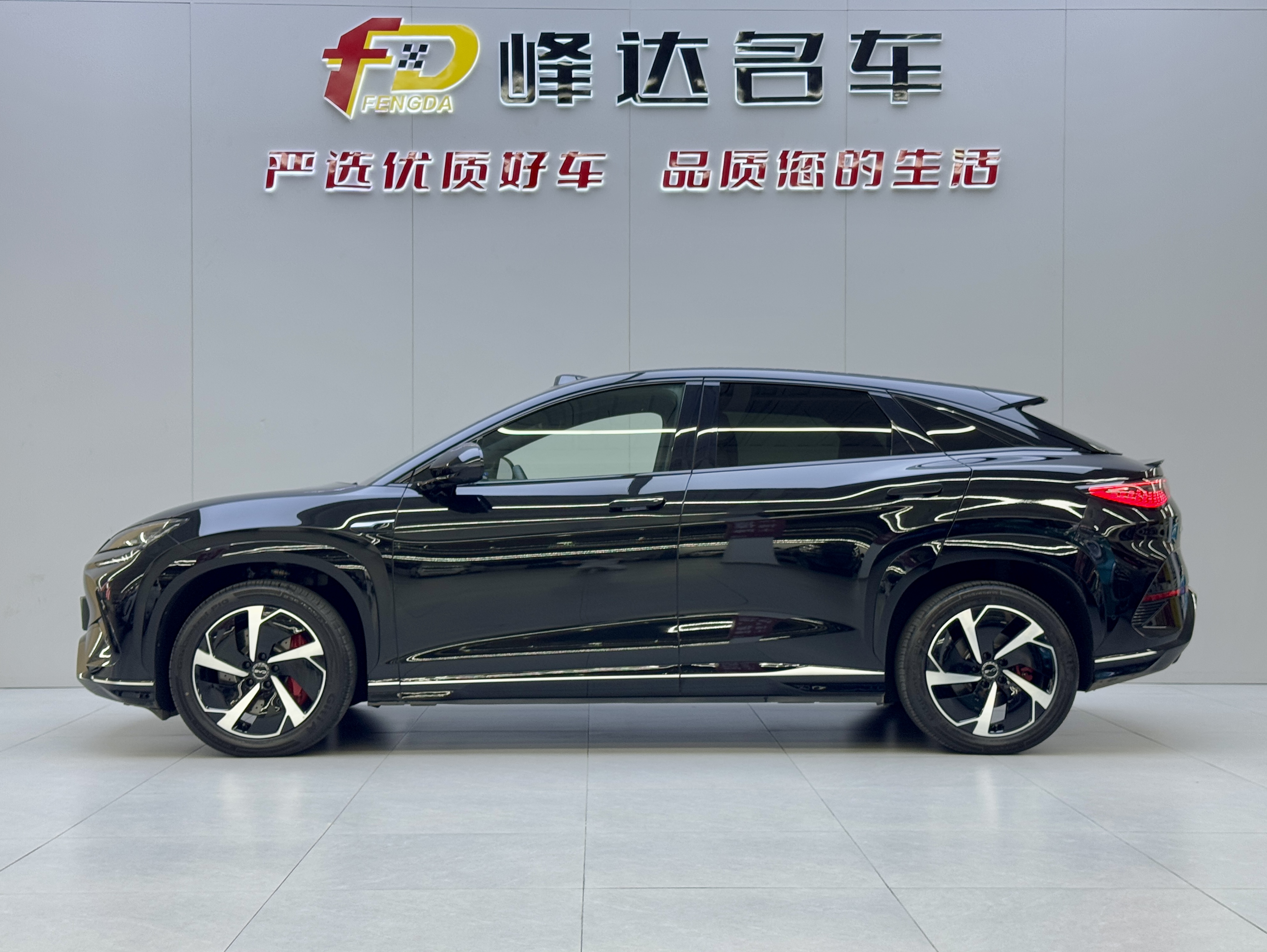 BYD Sea Lion 07 EV 2025 car image #2