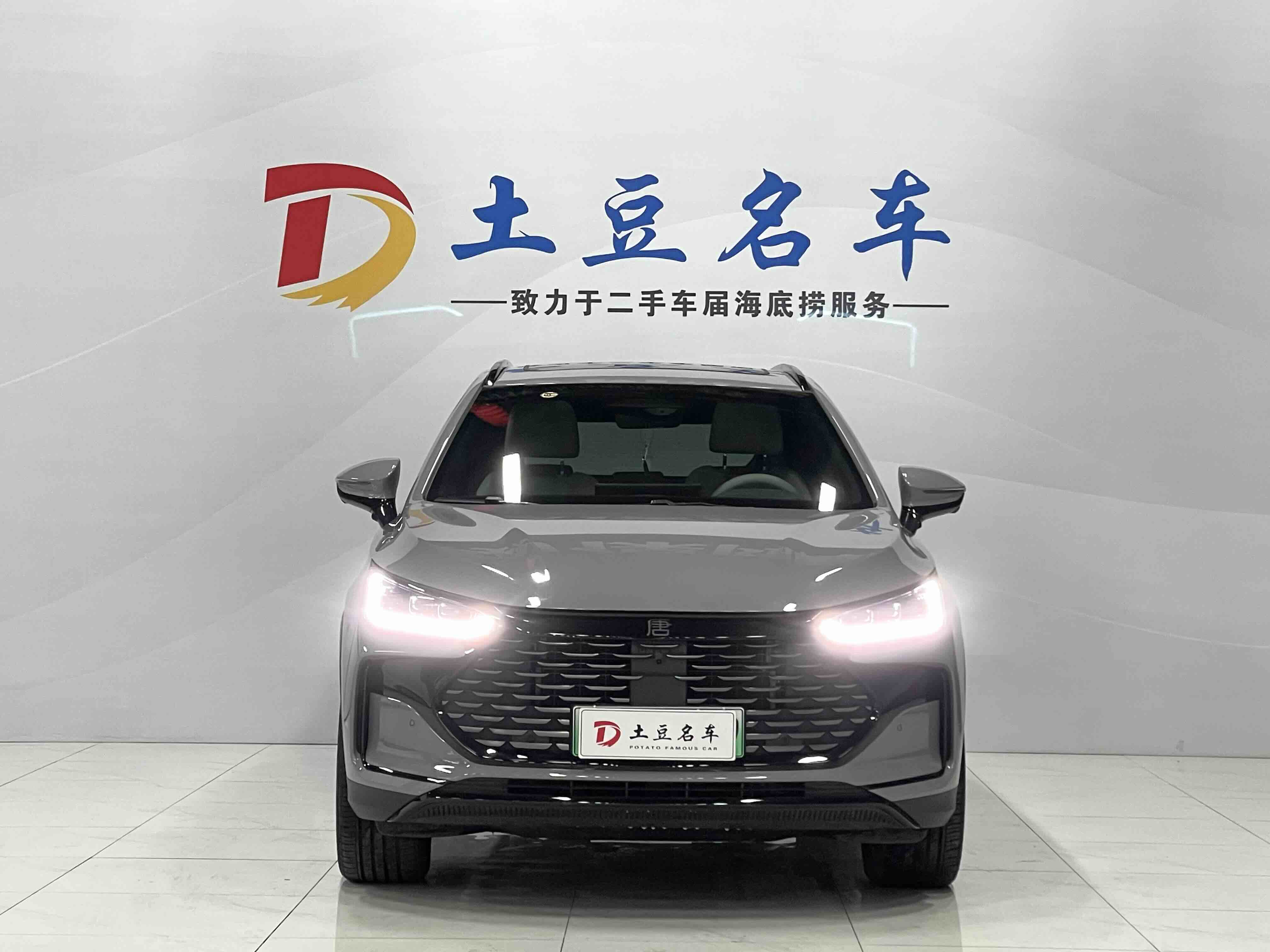 BYD Tang New Energy 2025 car image #2