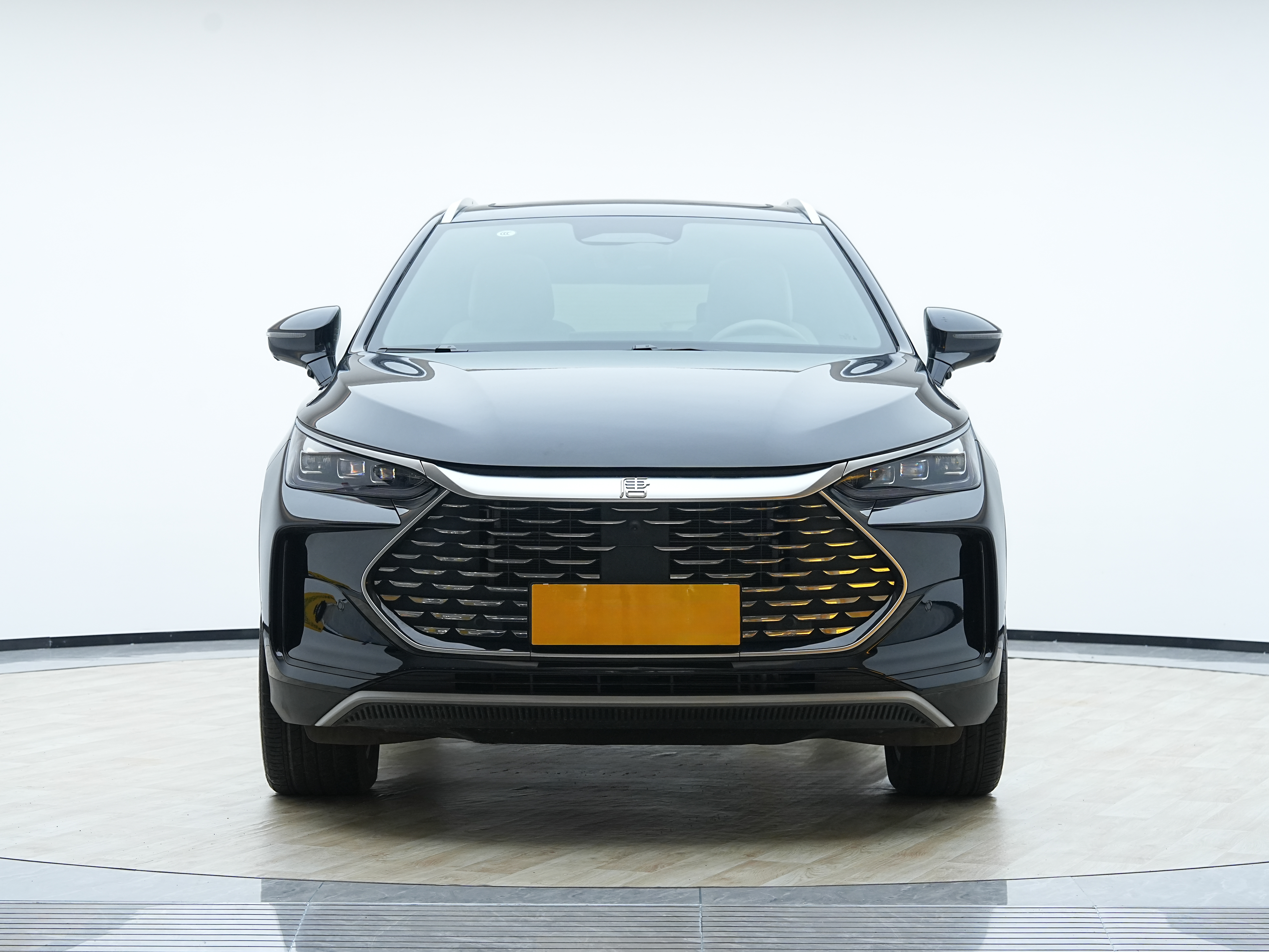 BYD Tang New Energy 2025 car image #2