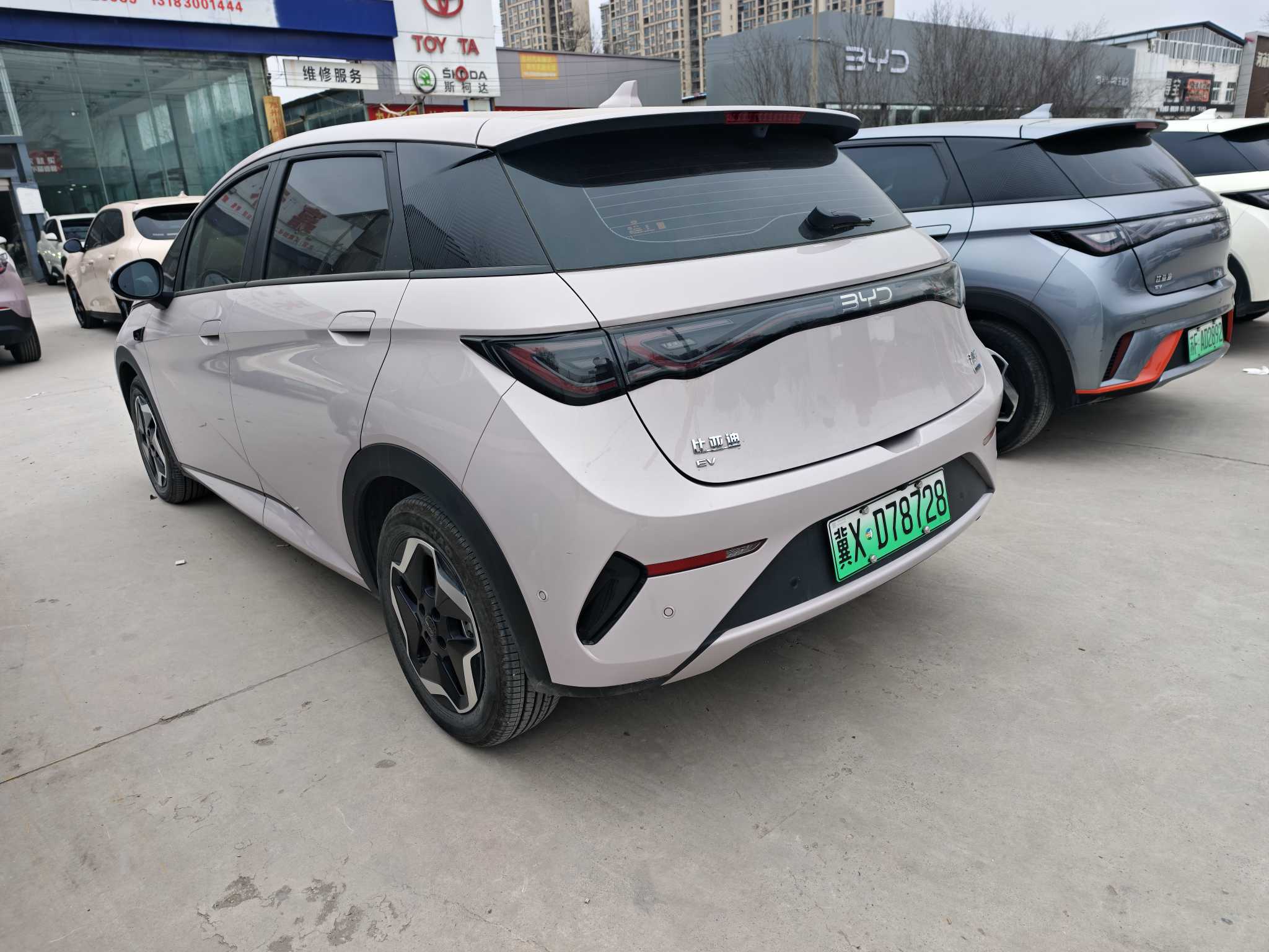 BYD Dolphin 2025 car image #2