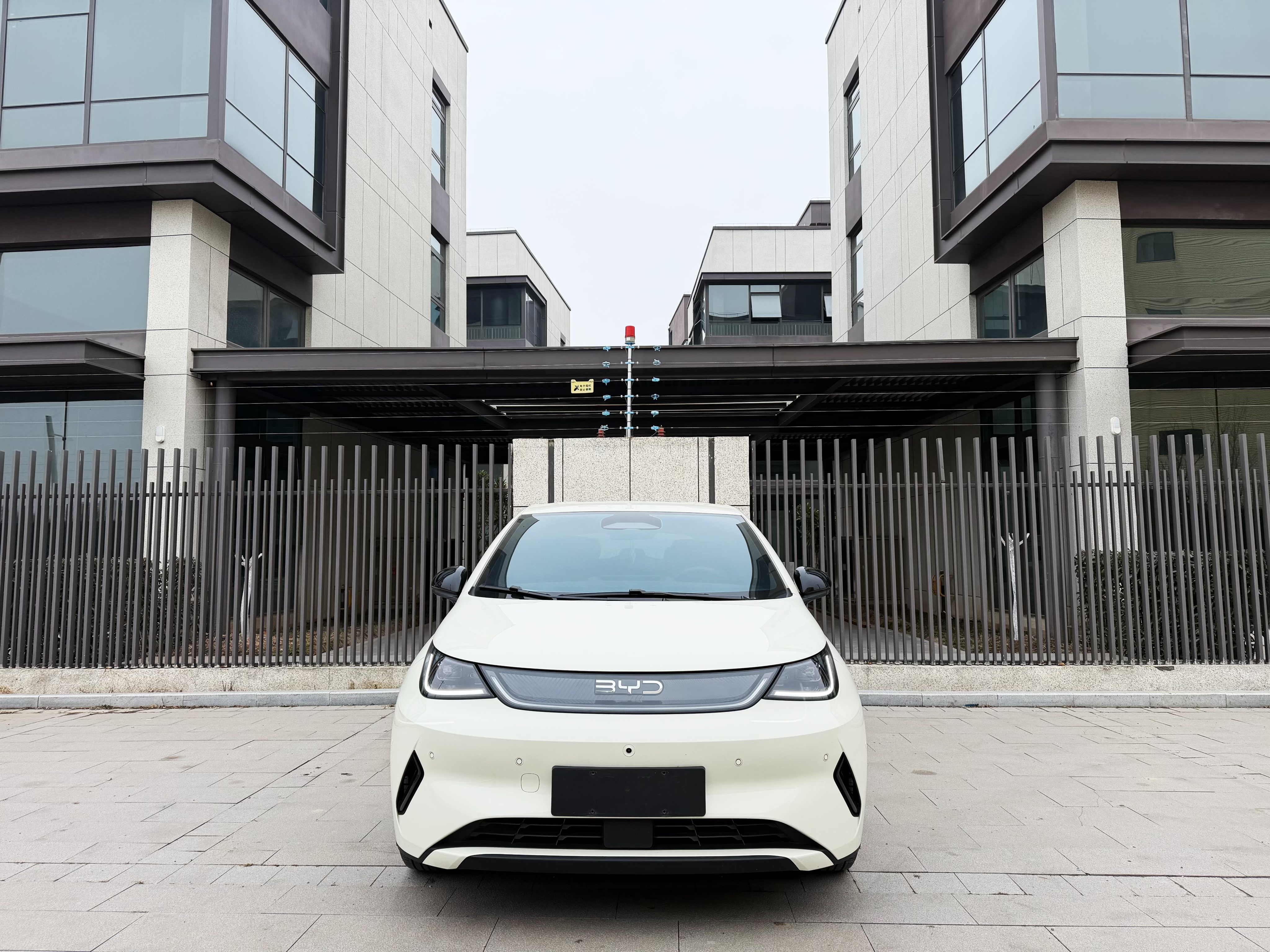 BYD Dolphin 2025 car image #2