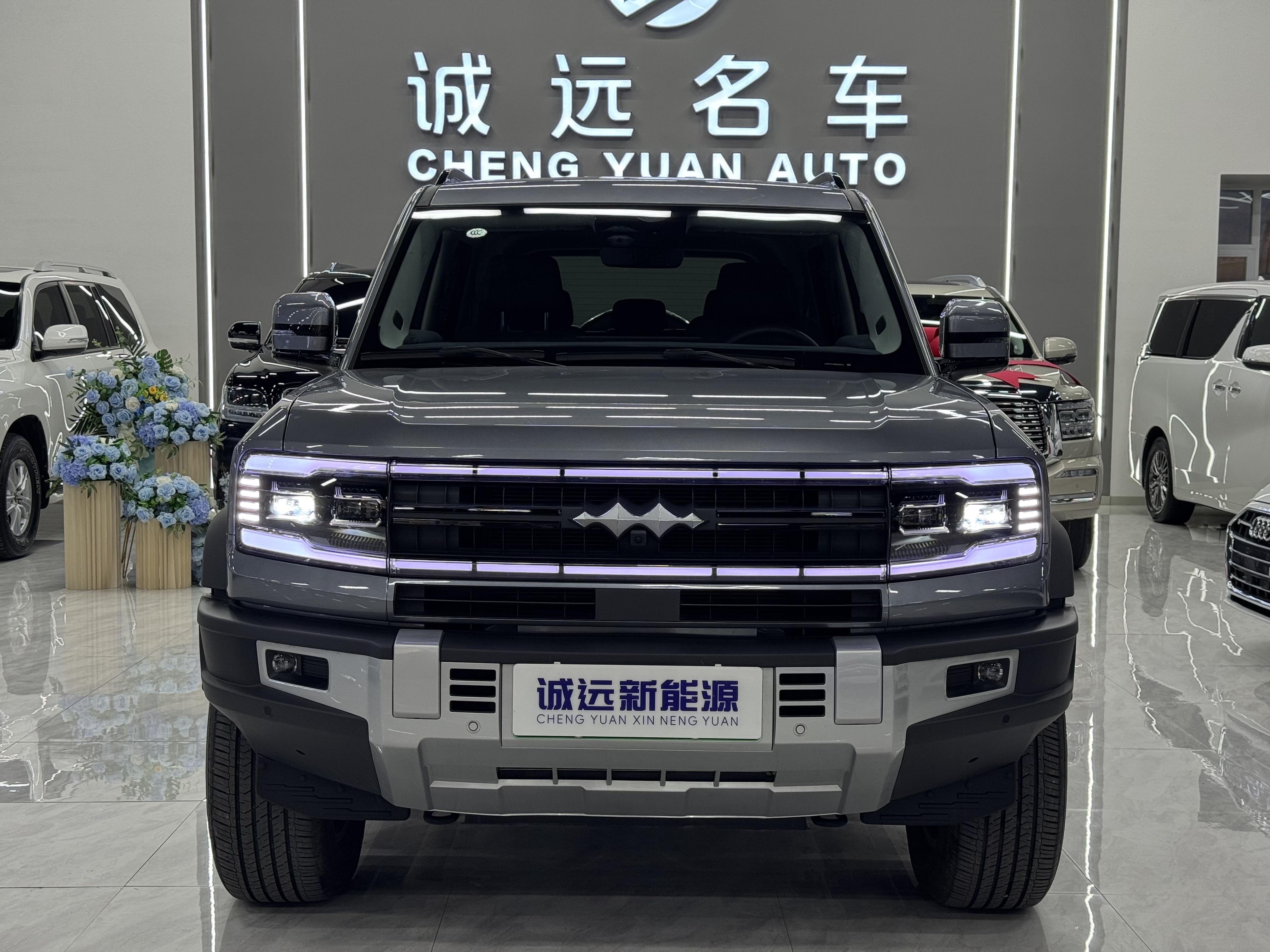 FangChengBao Leopard 5 2025 car image #2
