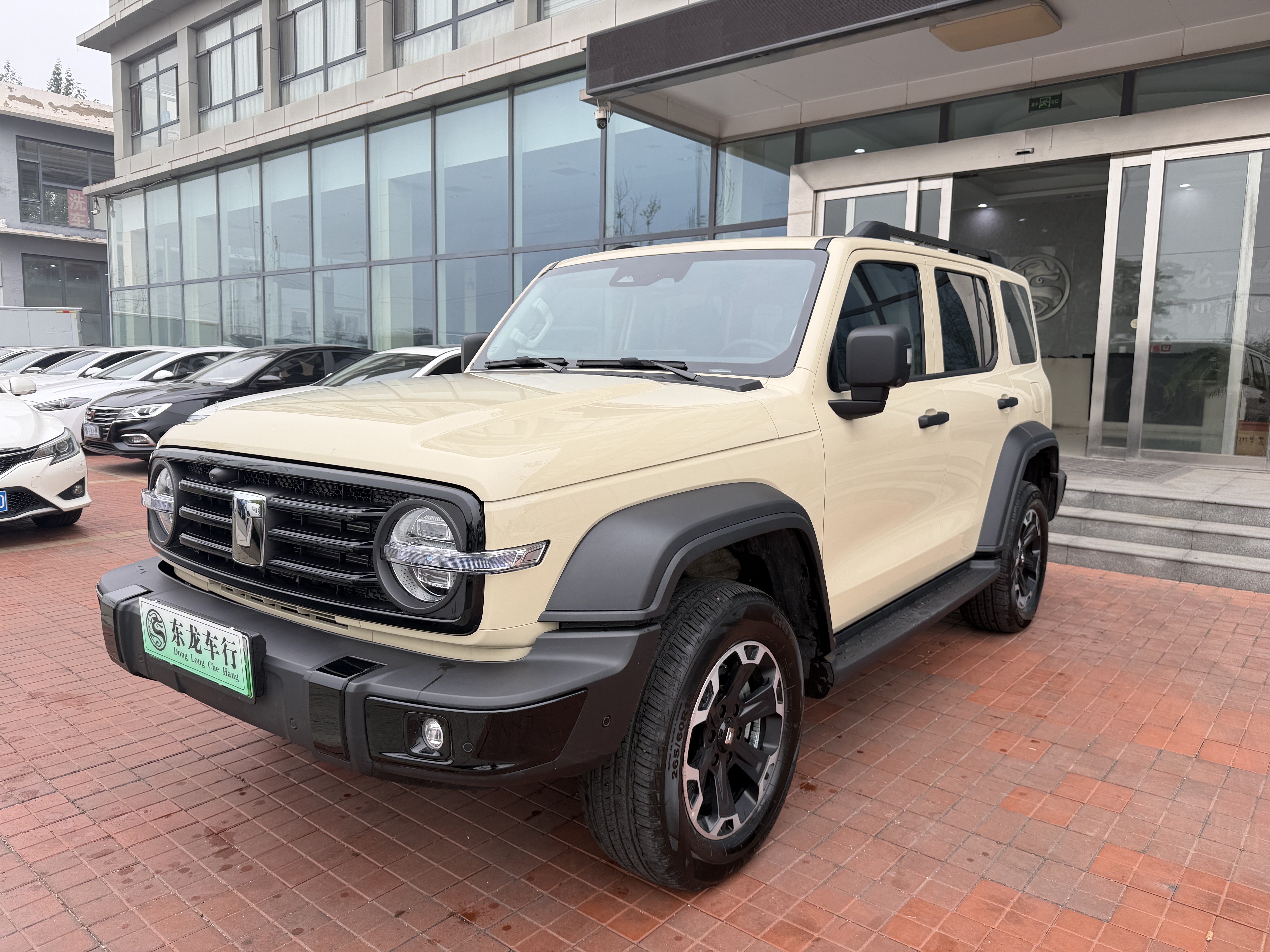 Tank 300 New Energy 2025 car image #2