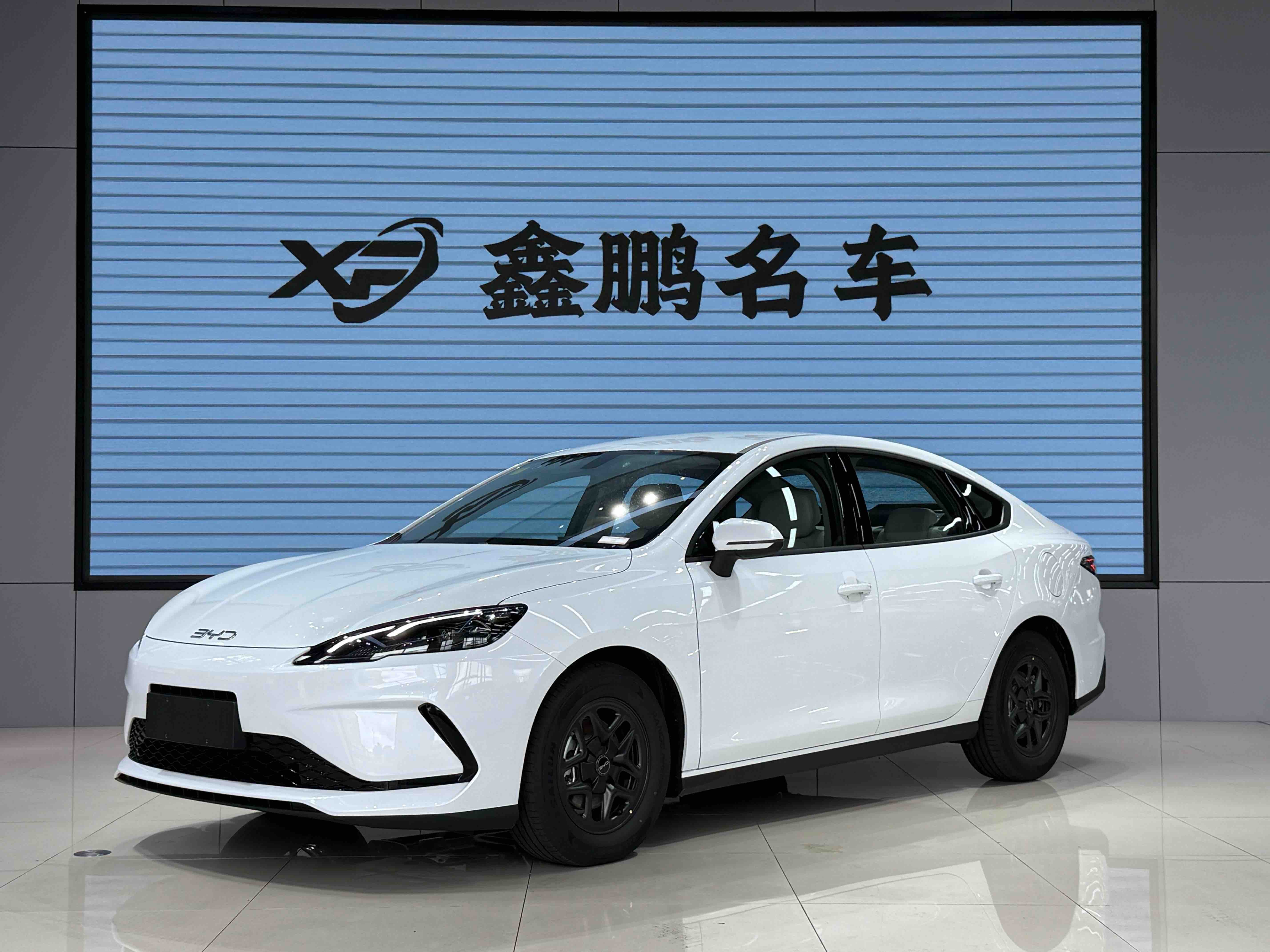 BYD Seal 05 DM-i 2025 immagine di auto #2