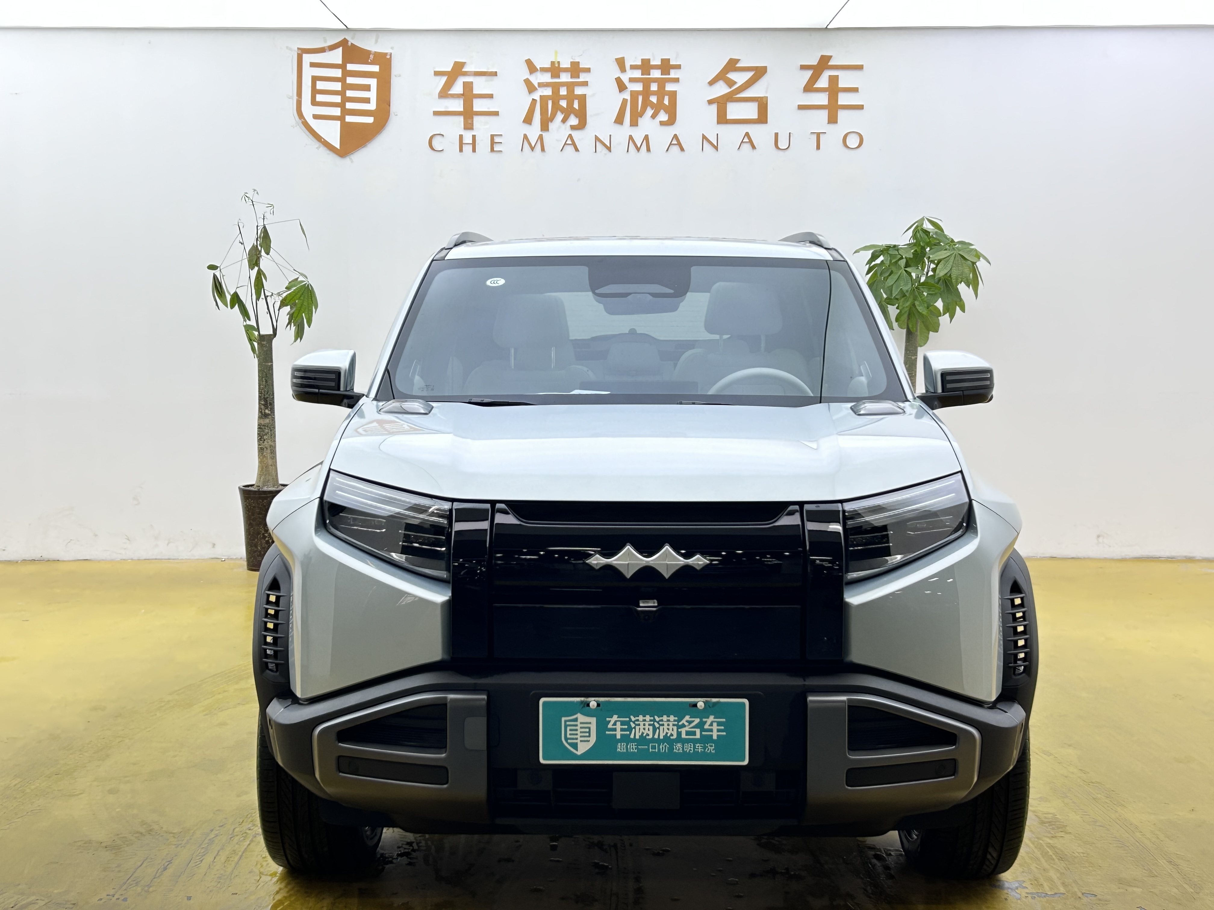 FangChengBao Tiger 3 2025 car image #2