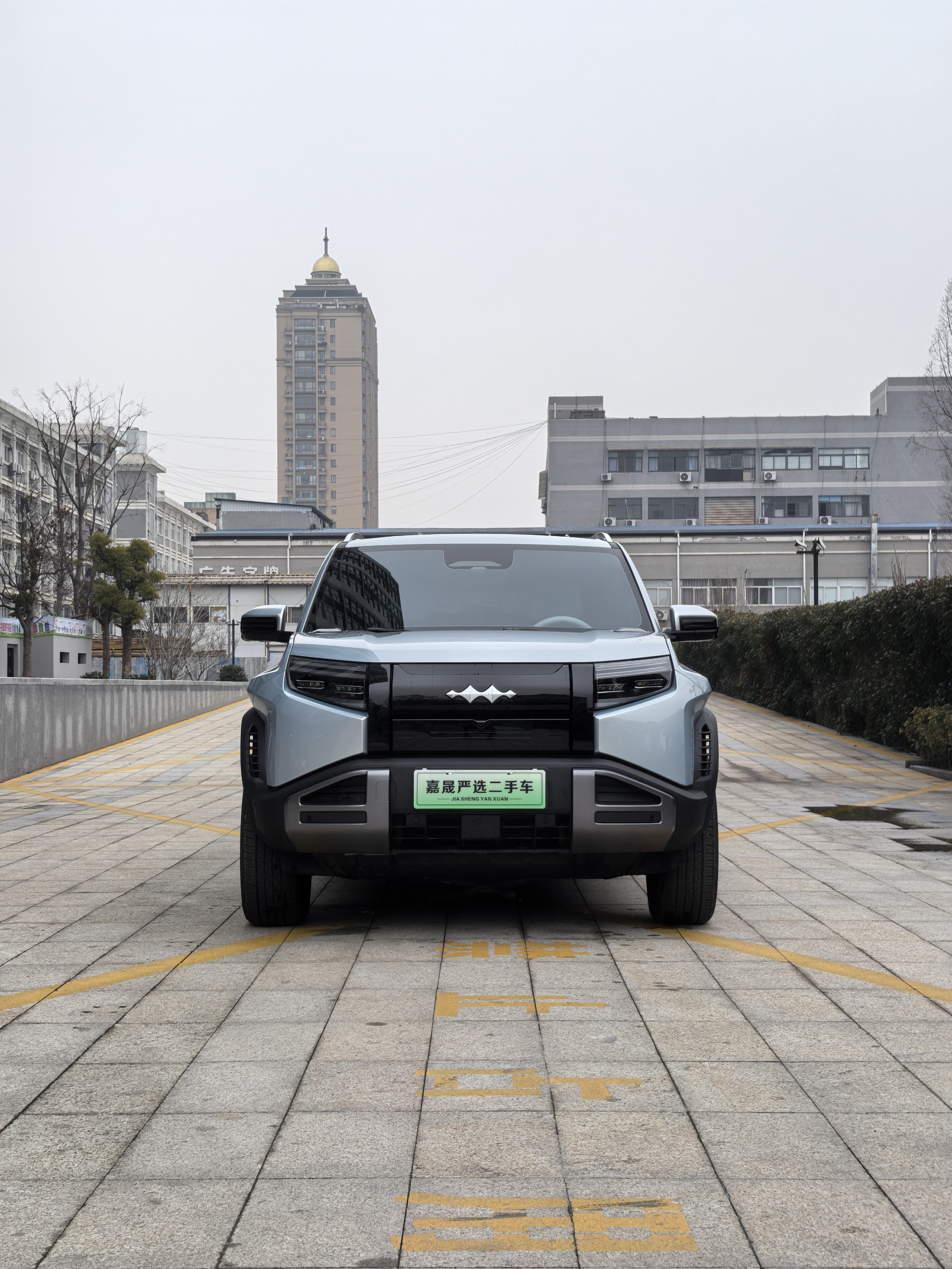 FangChengBao Tiger 3 2025 car image #2