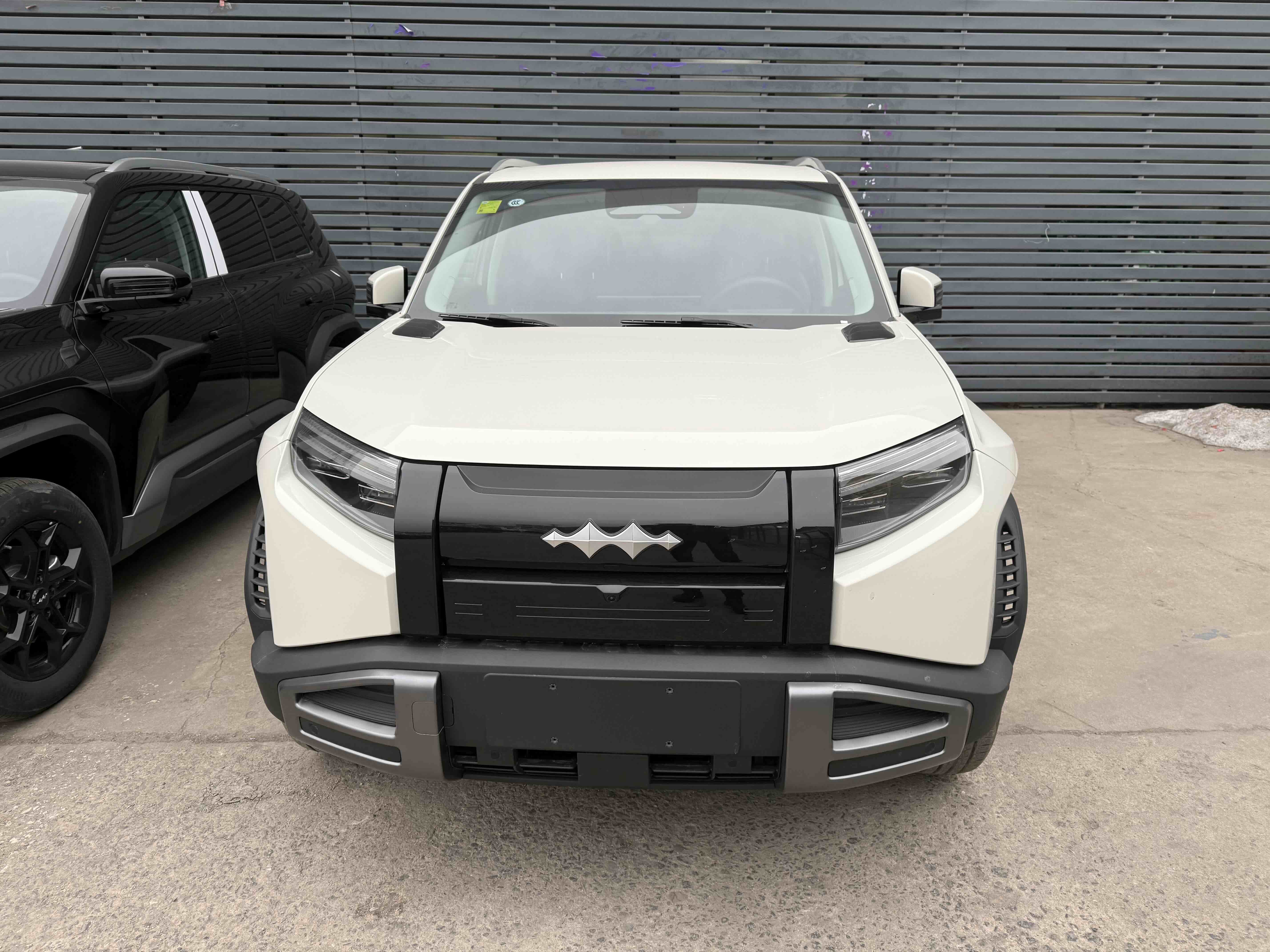 FangChengBao Tiger 3 2026 car image #2