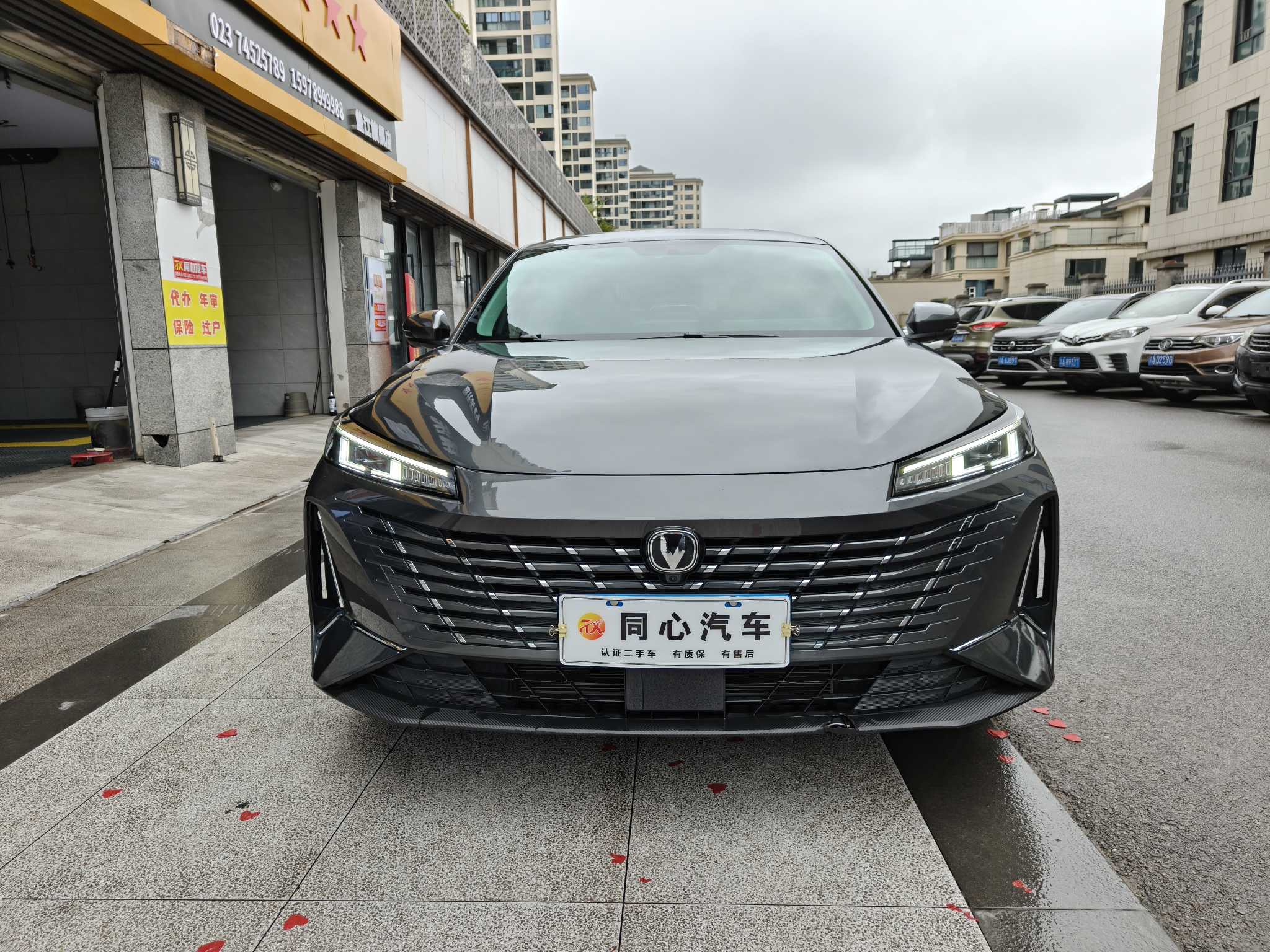 Changan Eado 2025 immagine di auto #2