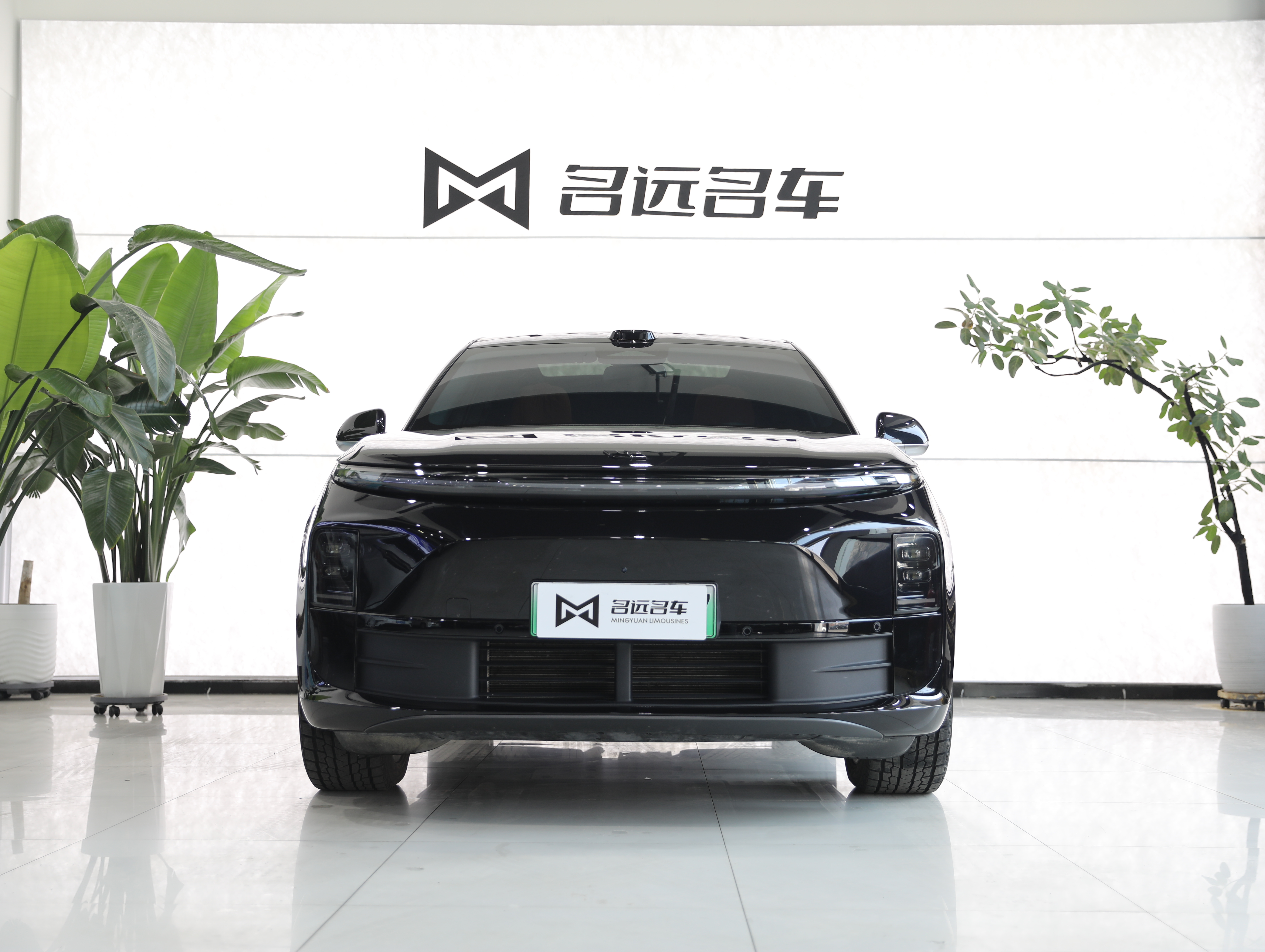 Li L6 2025 صورة سيارة #2