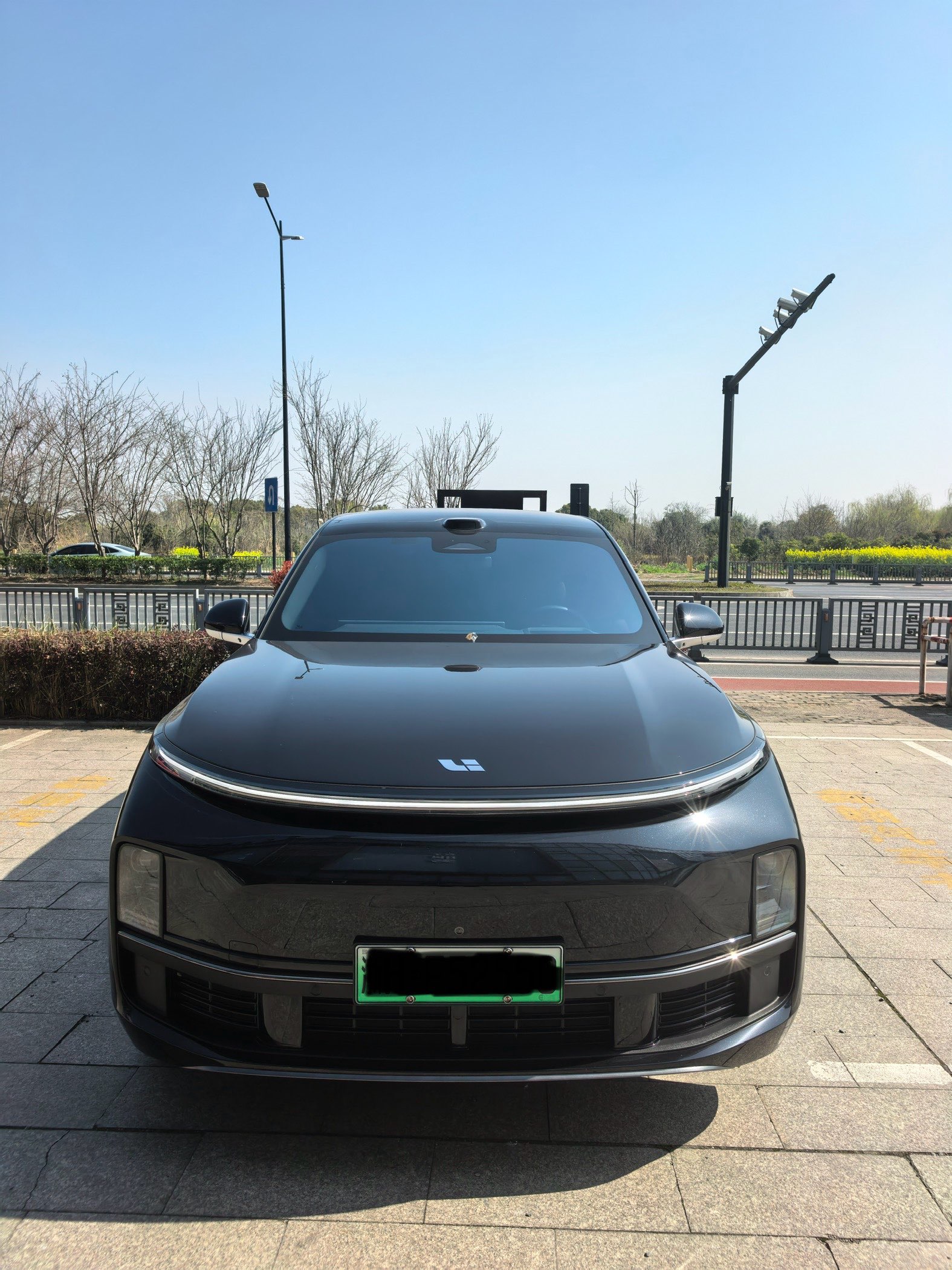 Li L9 2025 imagen de coche #2