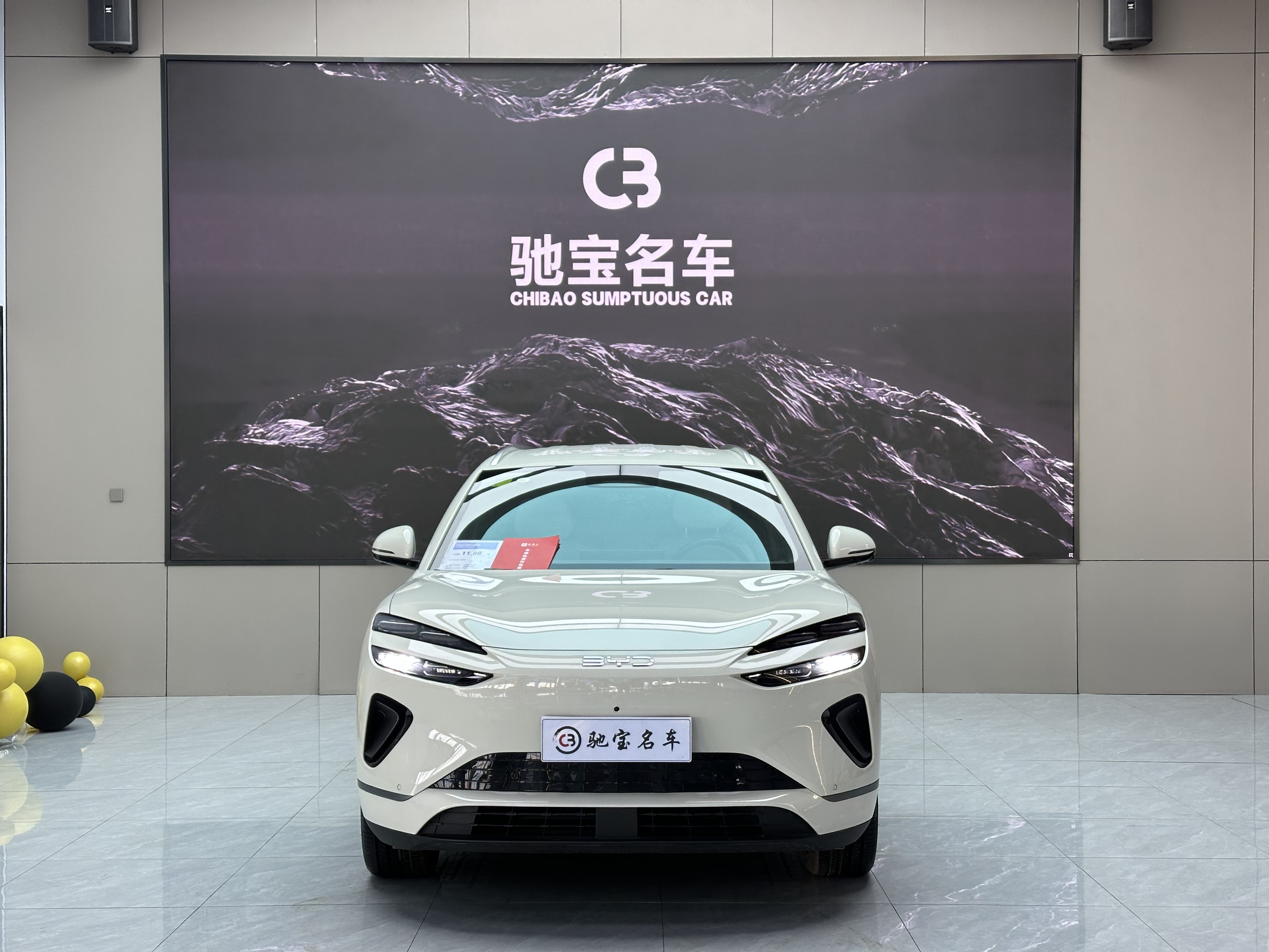 BYD Sea Lion 06 New Energy 2025 car image #2