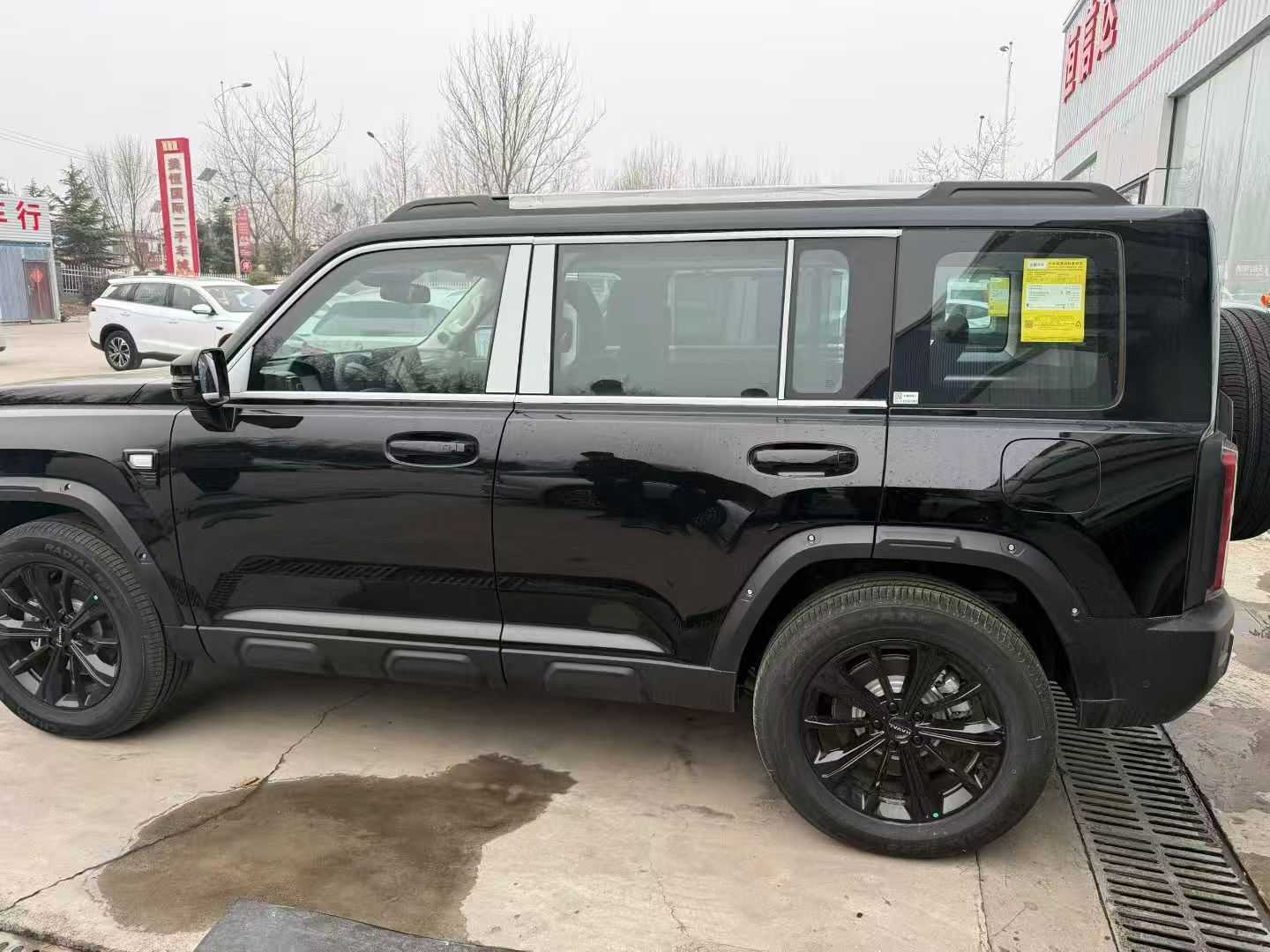 Haval Raptor New Energy 2025 car image #2