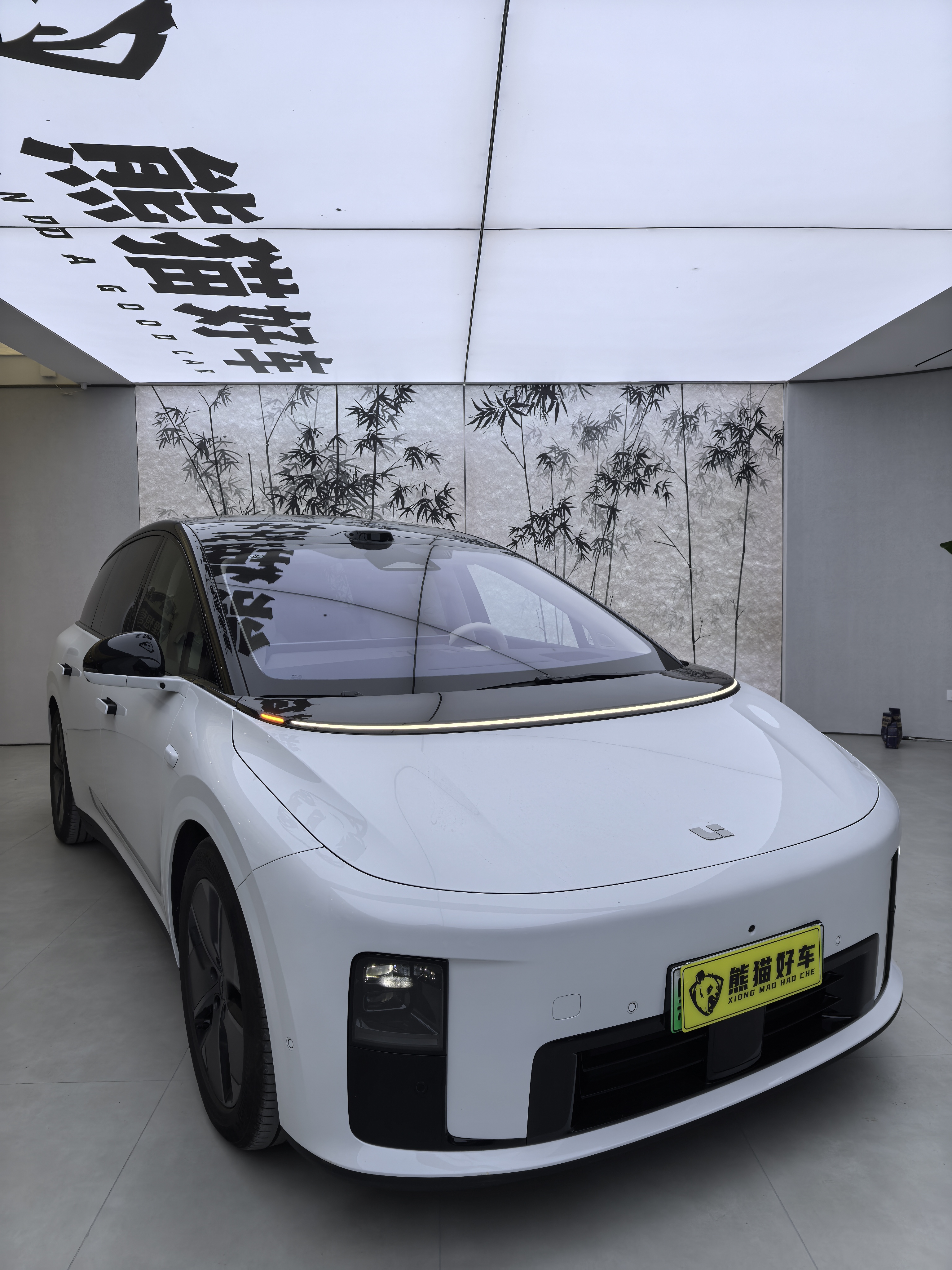 Li i8 2025 image de voiture #2