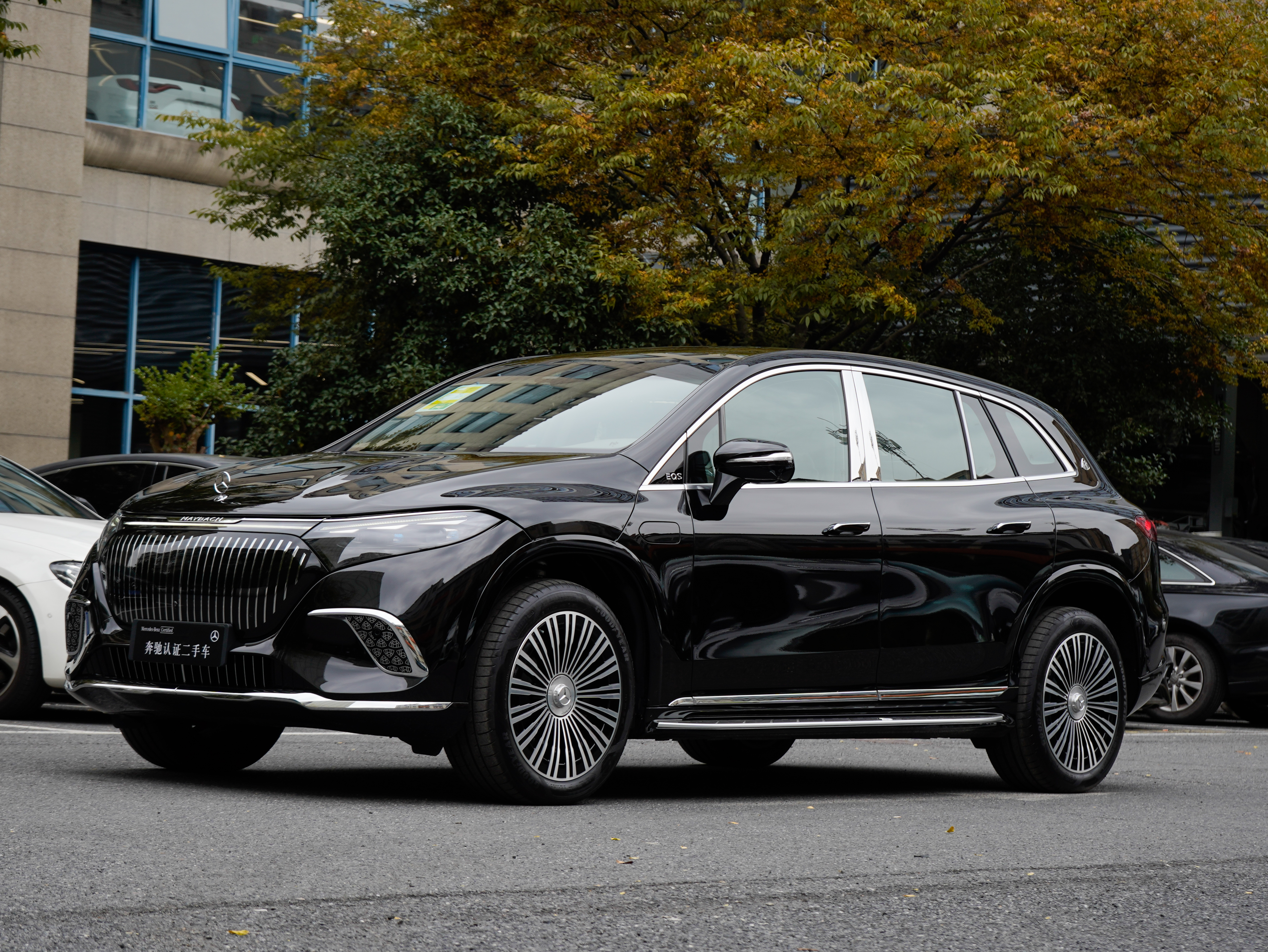 Mercedes-Benz MaybachEQS SUV 2025 car image #2