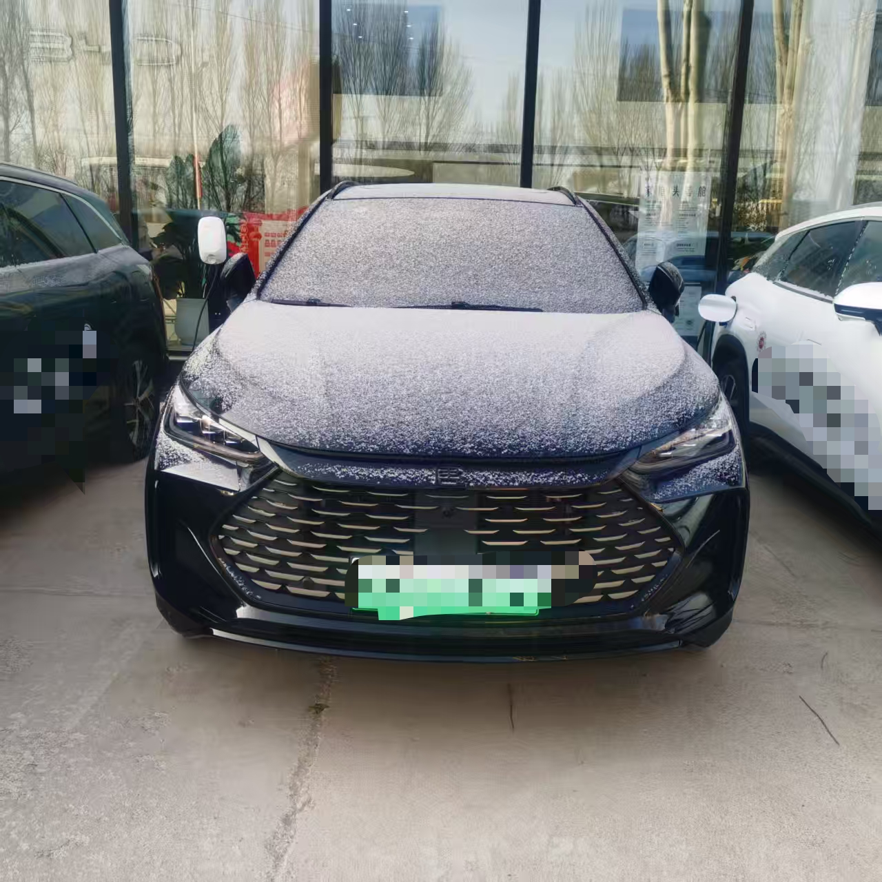 BYD Tang New Energy 2025 car image #2